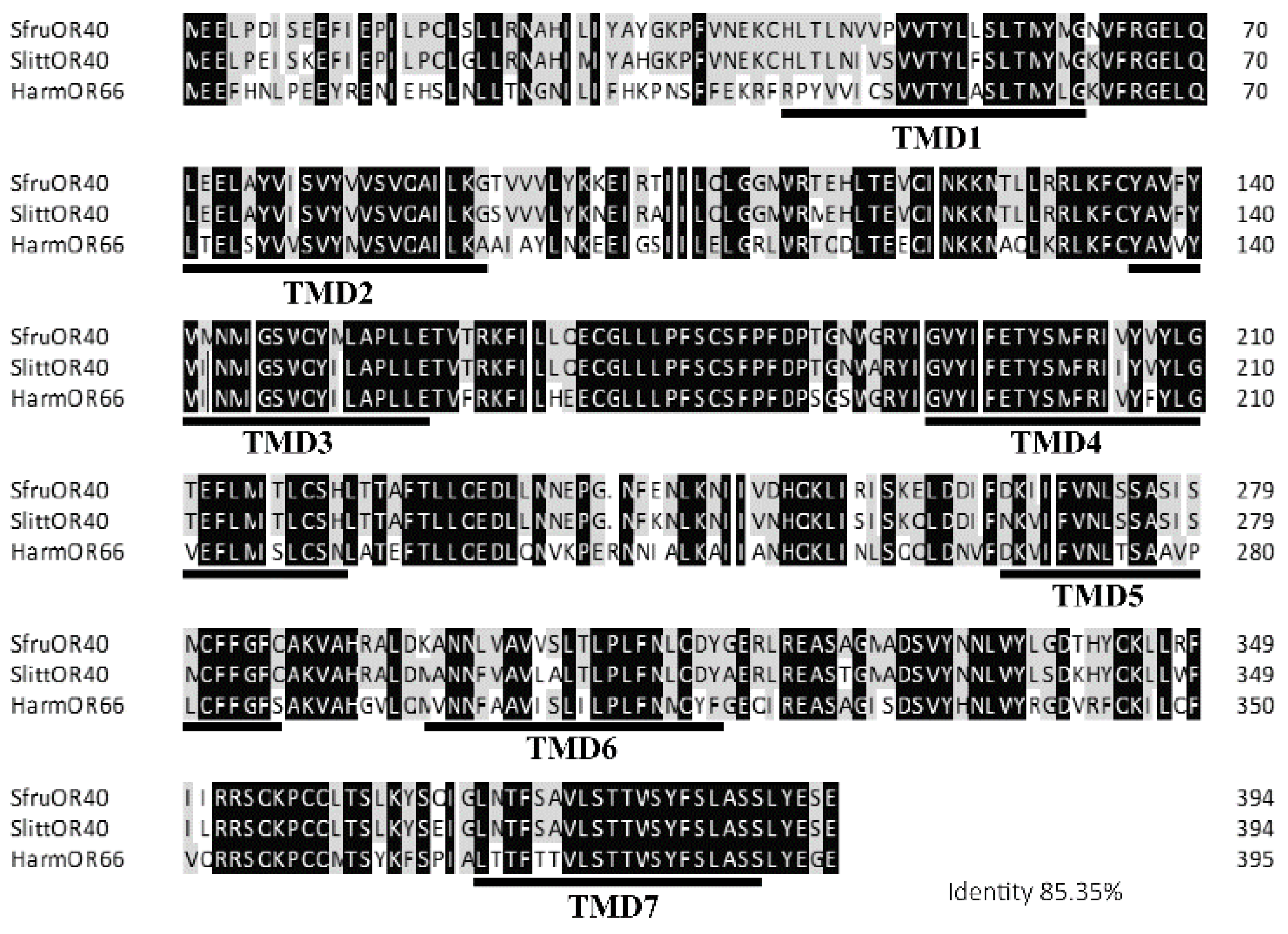Insects 15 00564 g002