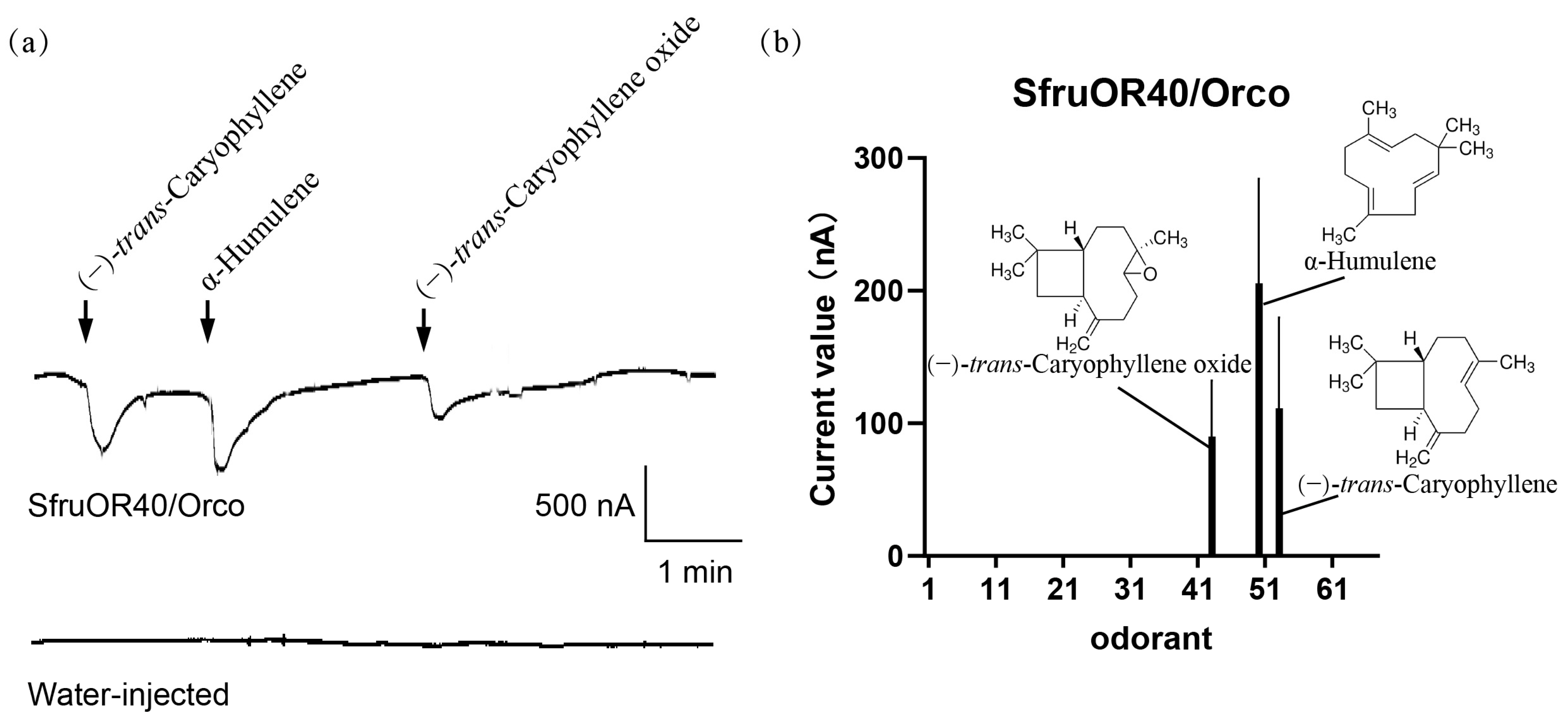 Insects 15 00564 g004