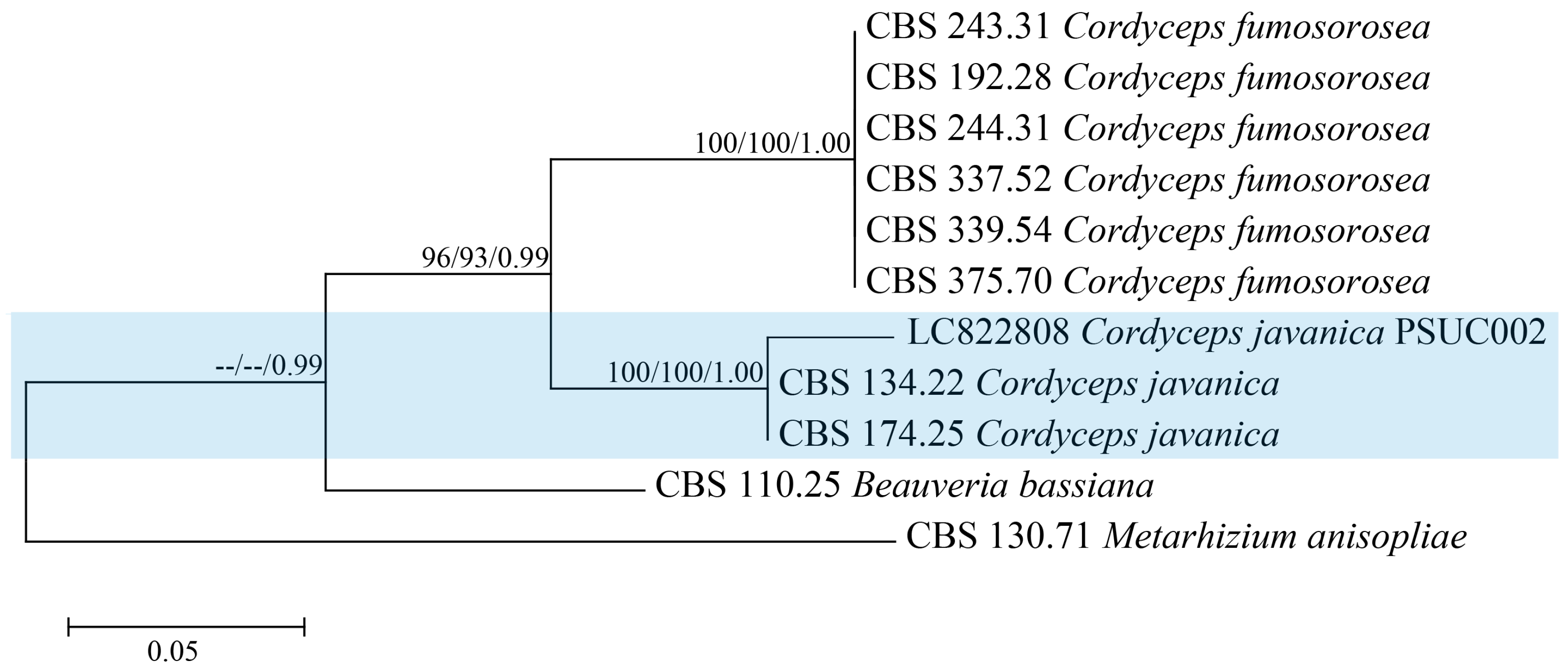 Insects 15 00565 g002 Insects 15 00565 g002