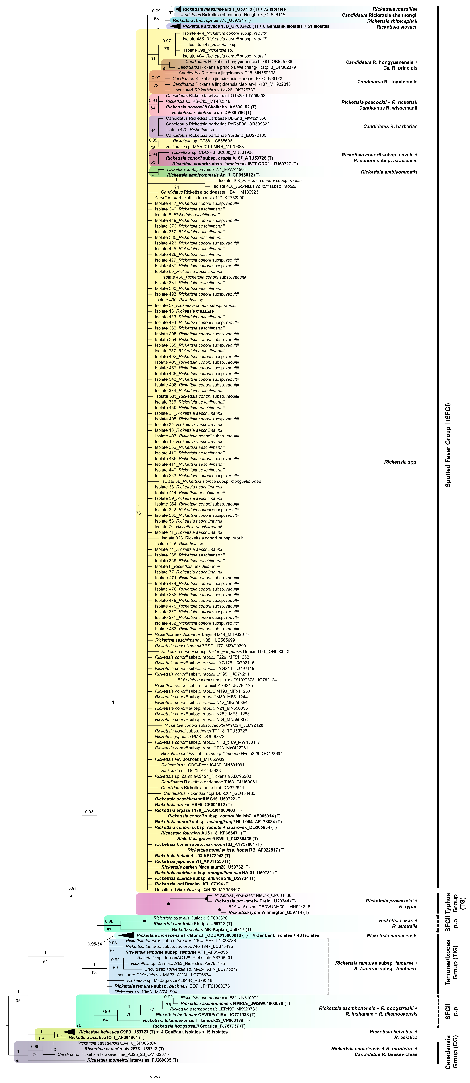 Insects 15 00571 g005