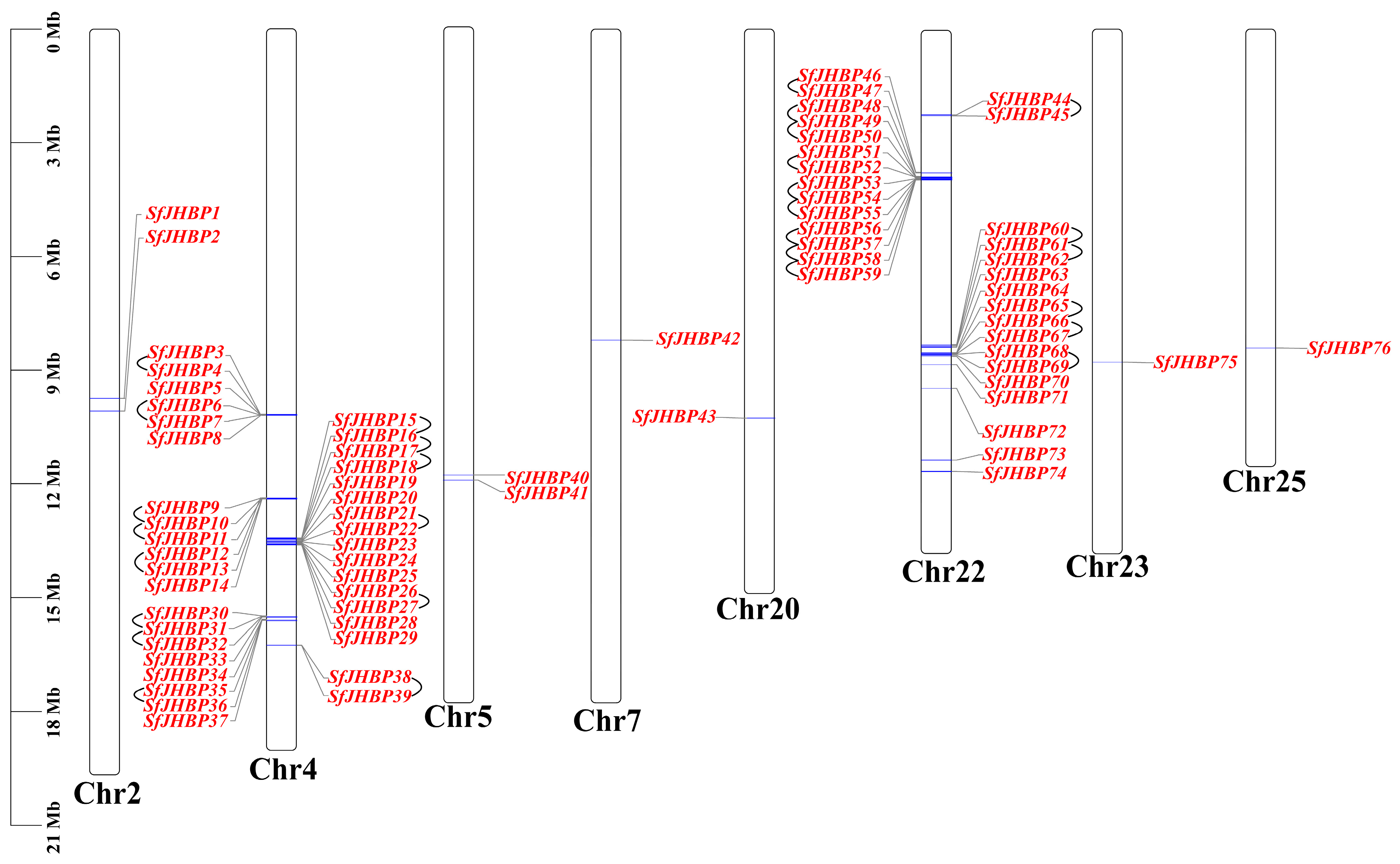 Insects 15 00573 g001