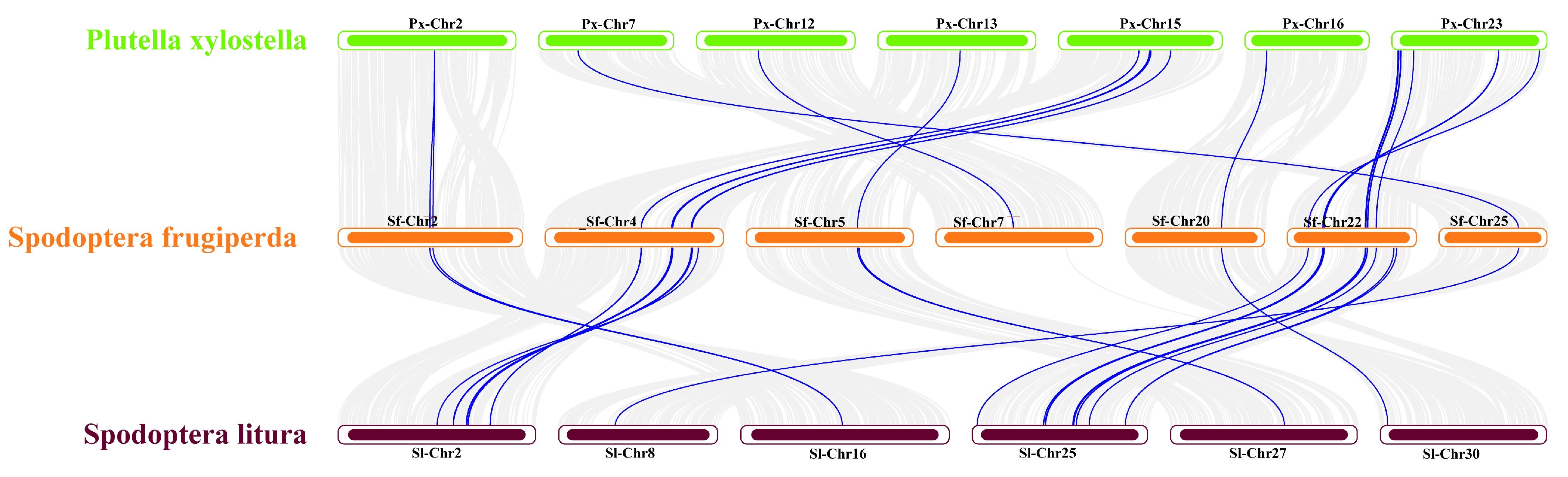 Insects 15 00573 g004