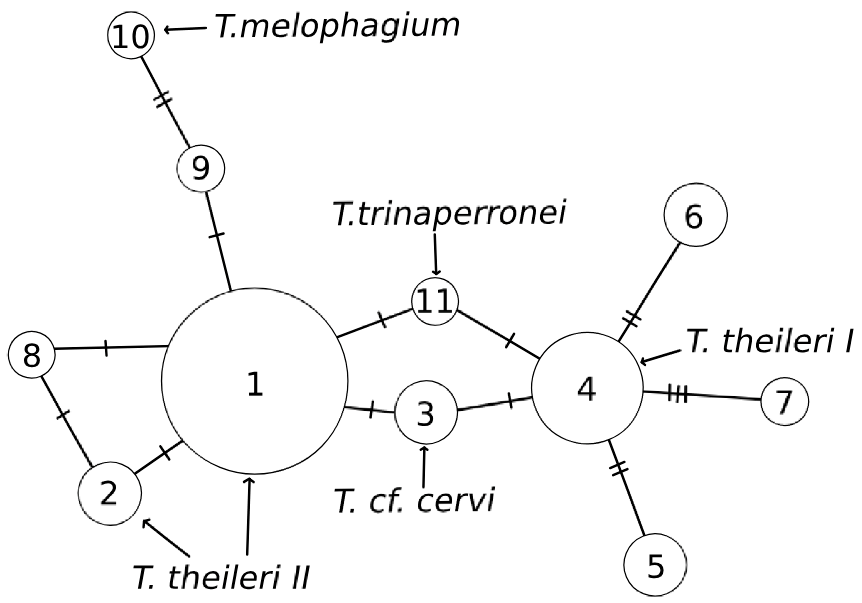 Insects 15 00581 g001