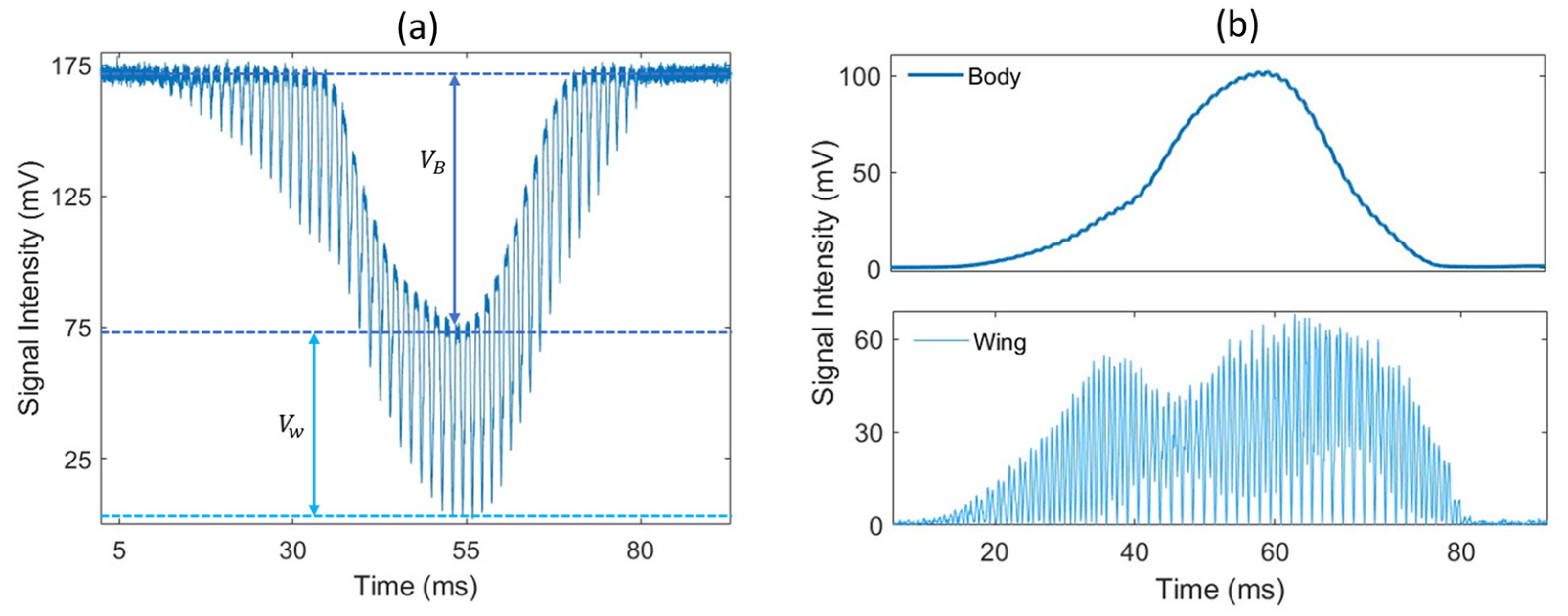 Insects 15 00584 g002