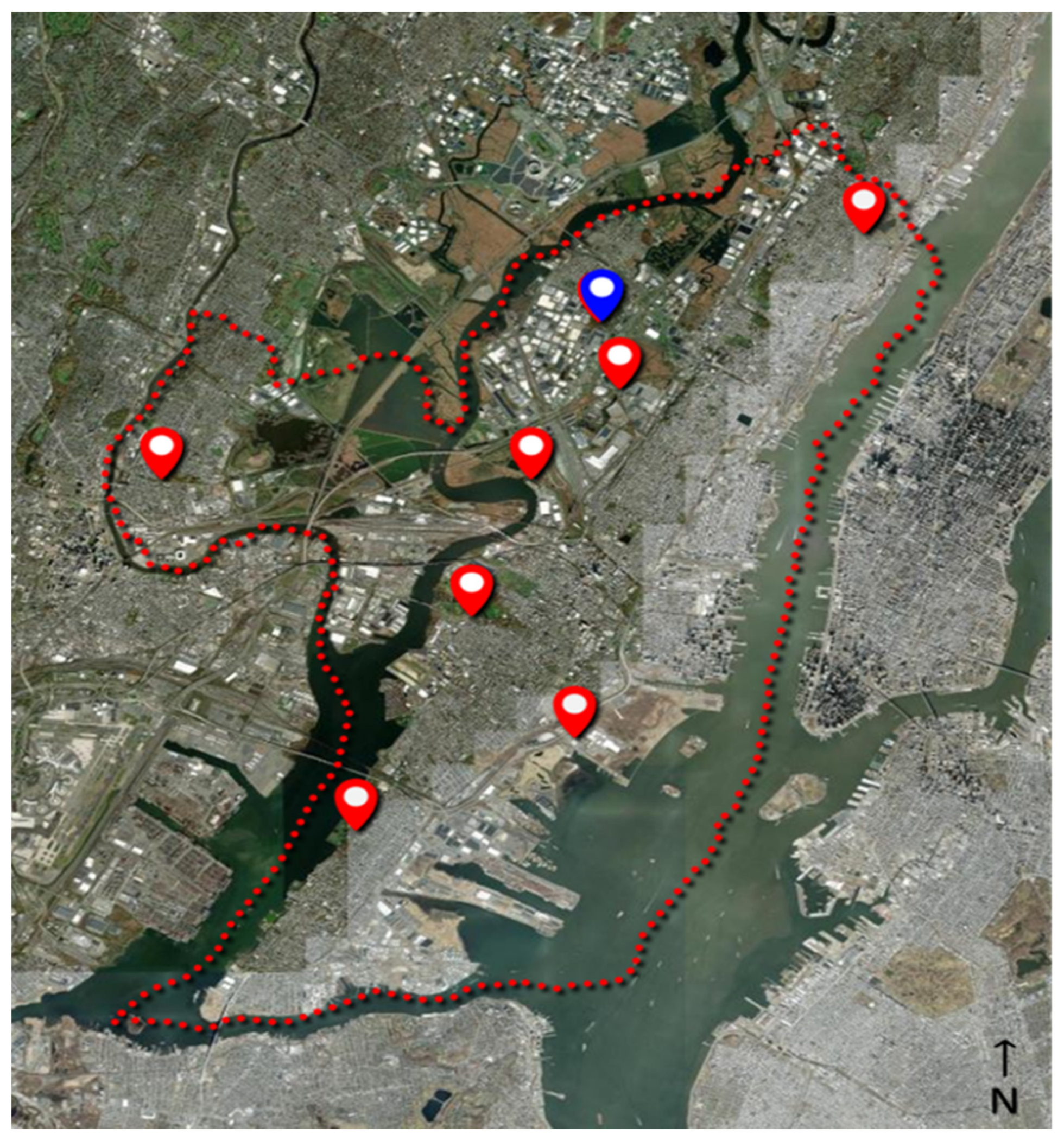 Insects 15 00584 g004