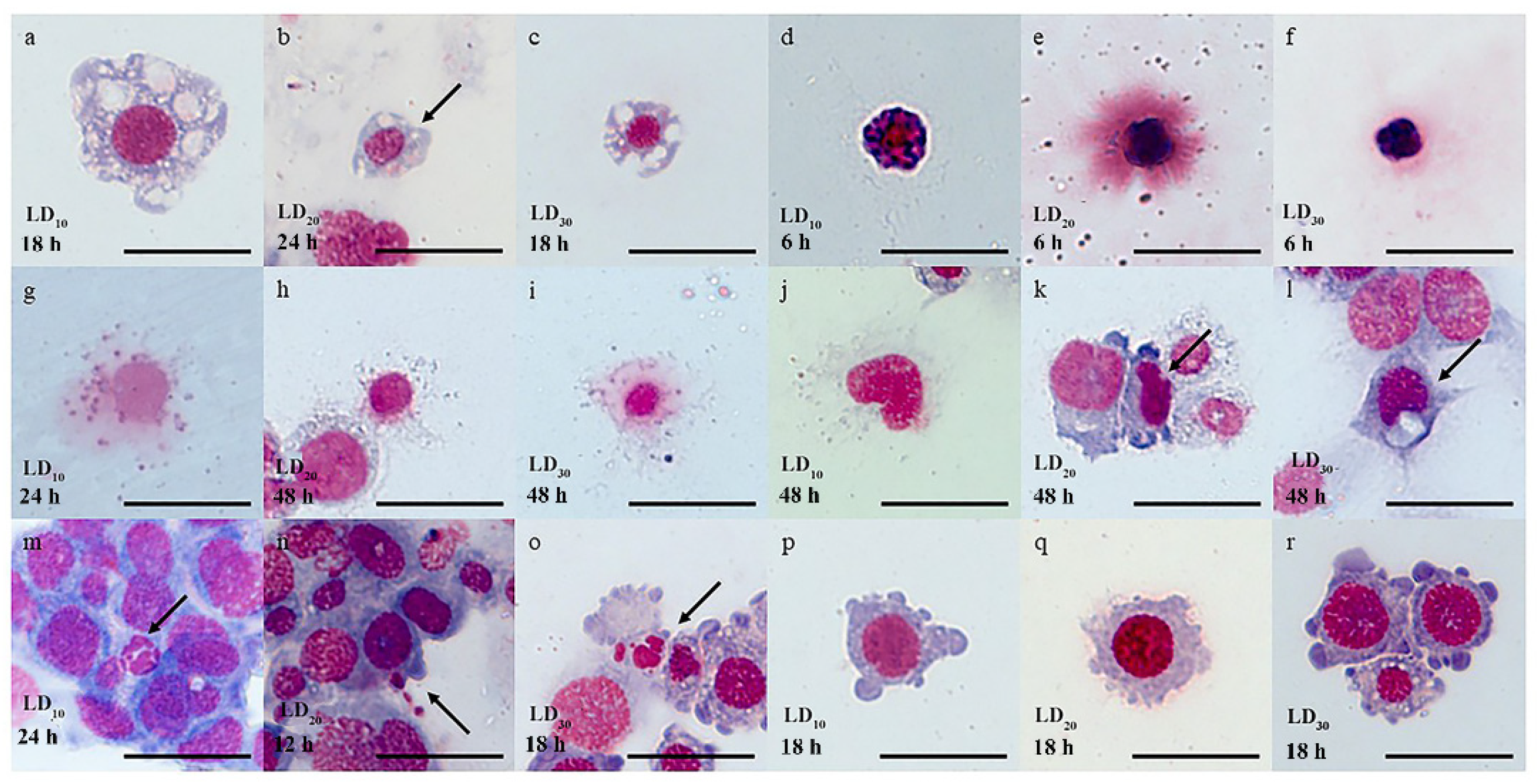 Insects 15 00586 g002