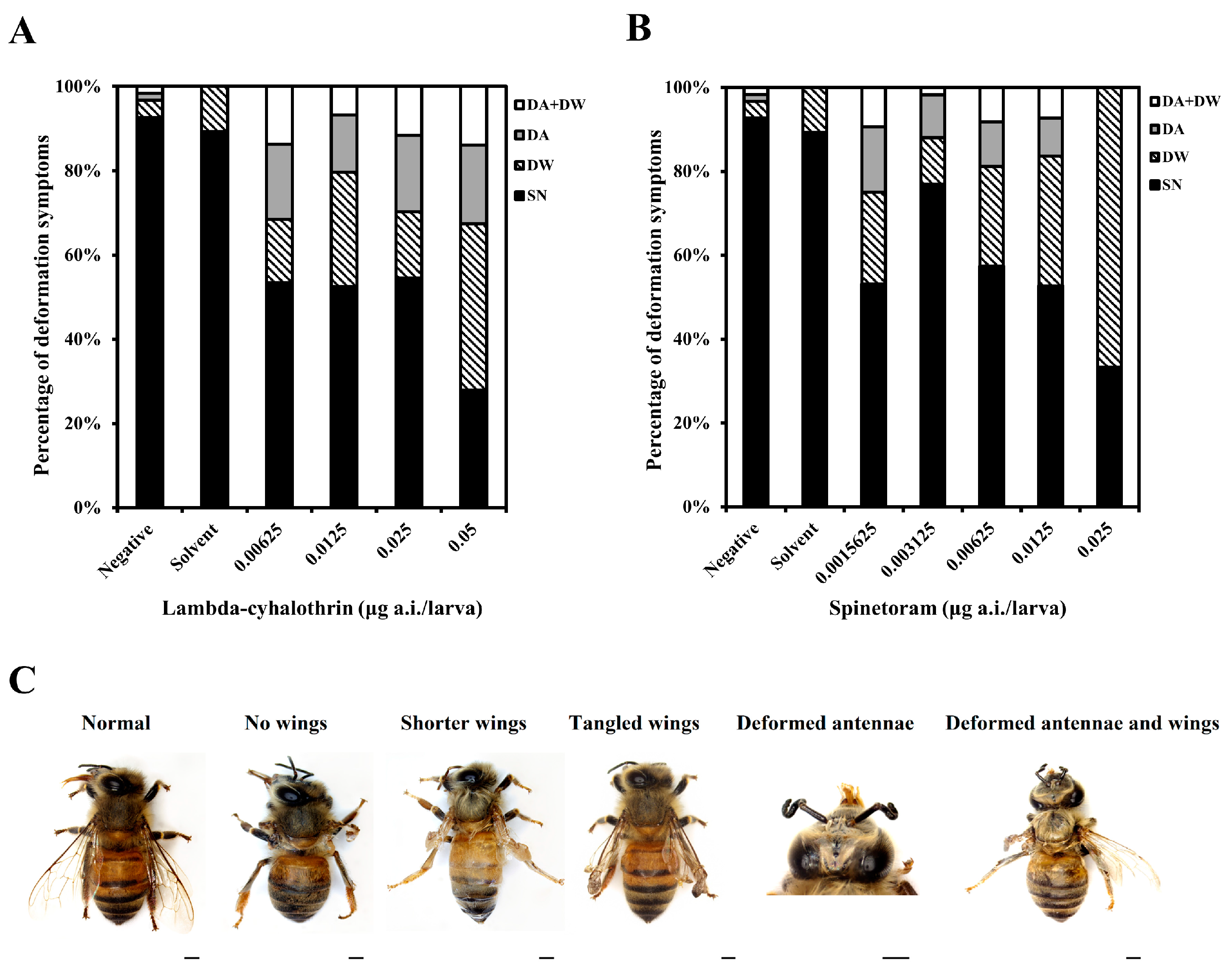 Insects 15 00587 g003