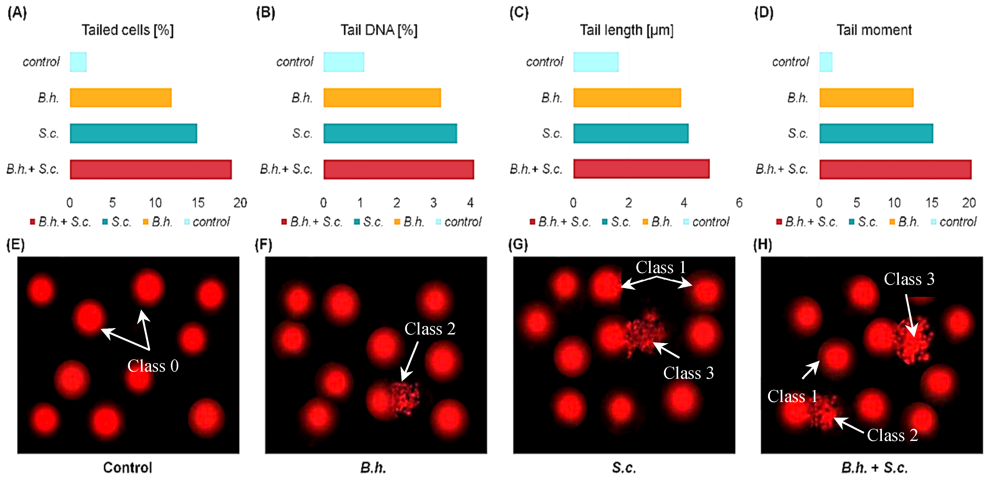 Insects 15 00588 g004 Insects 15 00588 g004