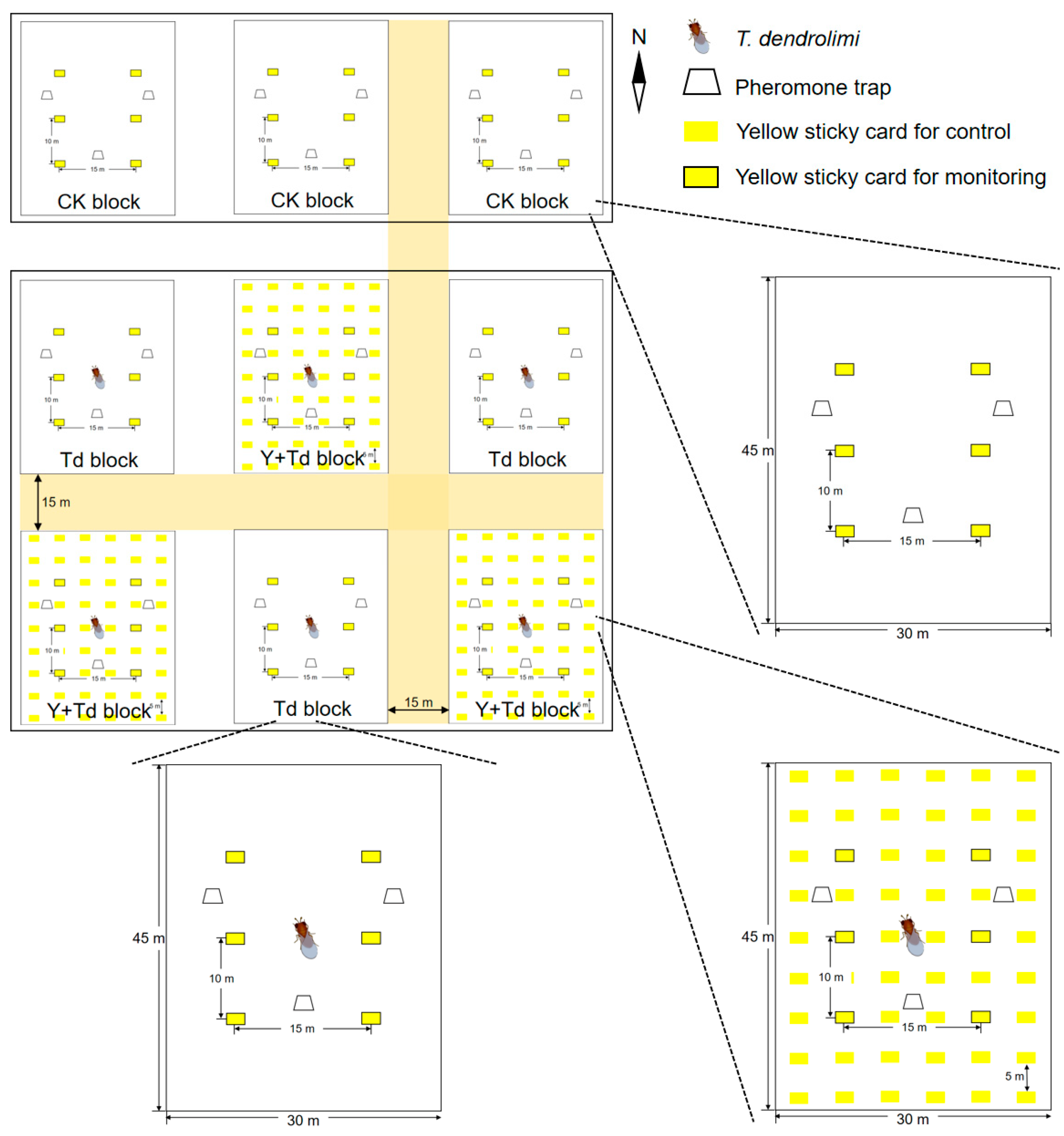 Insects 15 00590 g001