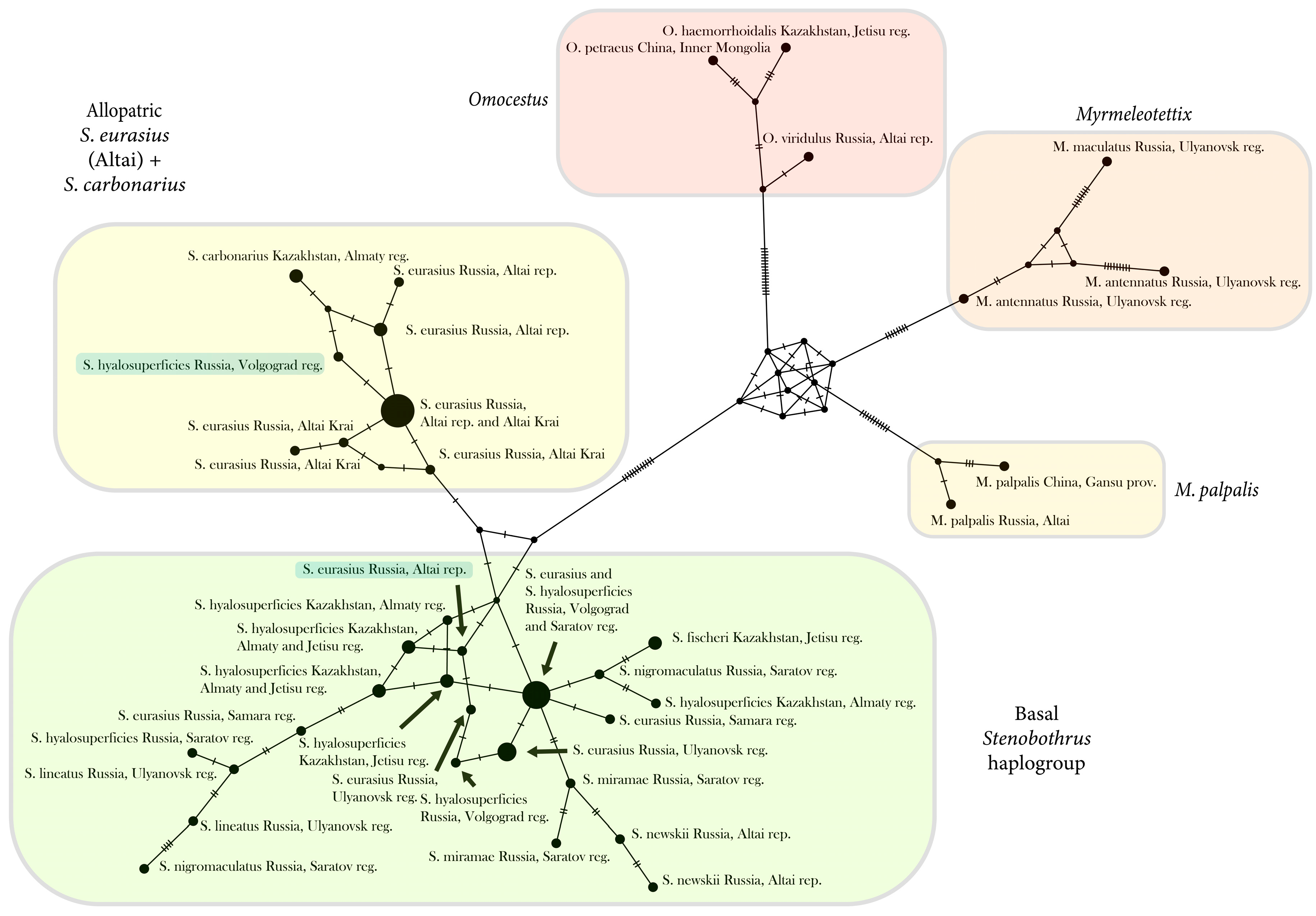 Insects 15 00592 g004 Insects 15 00592 g004