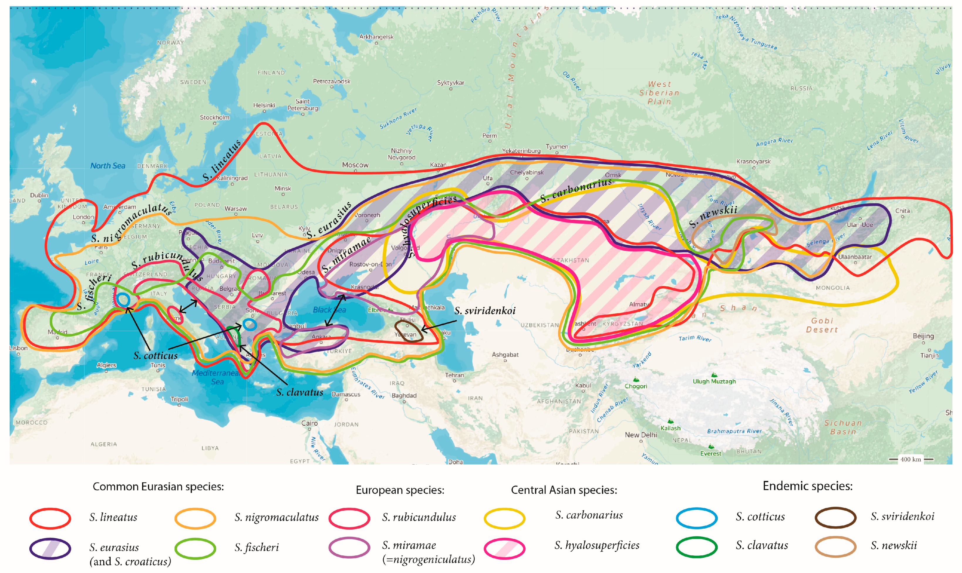 Insects 15 00592 g005 Insects 15 00592 g005