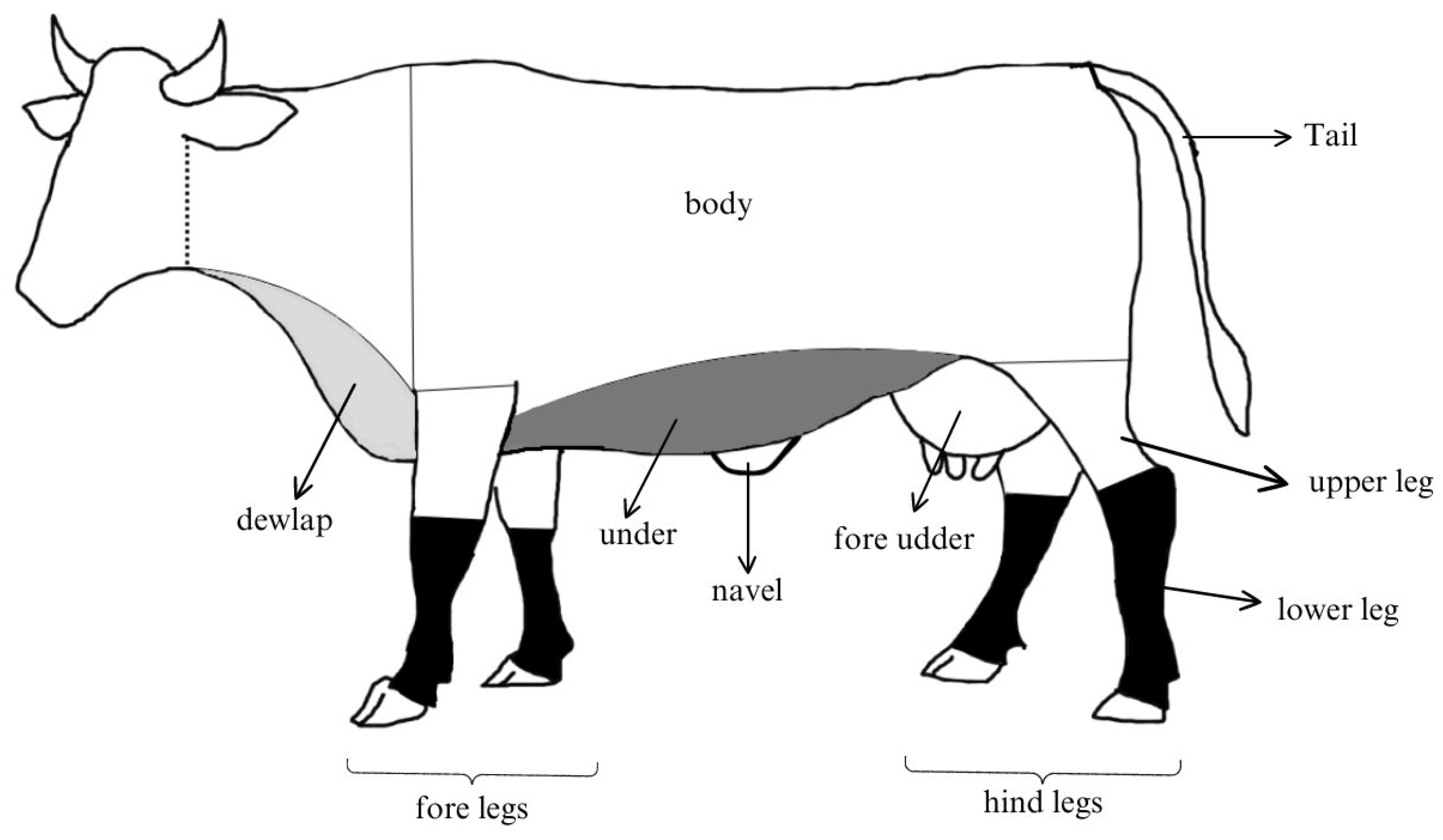 Insects 15 00602 g001