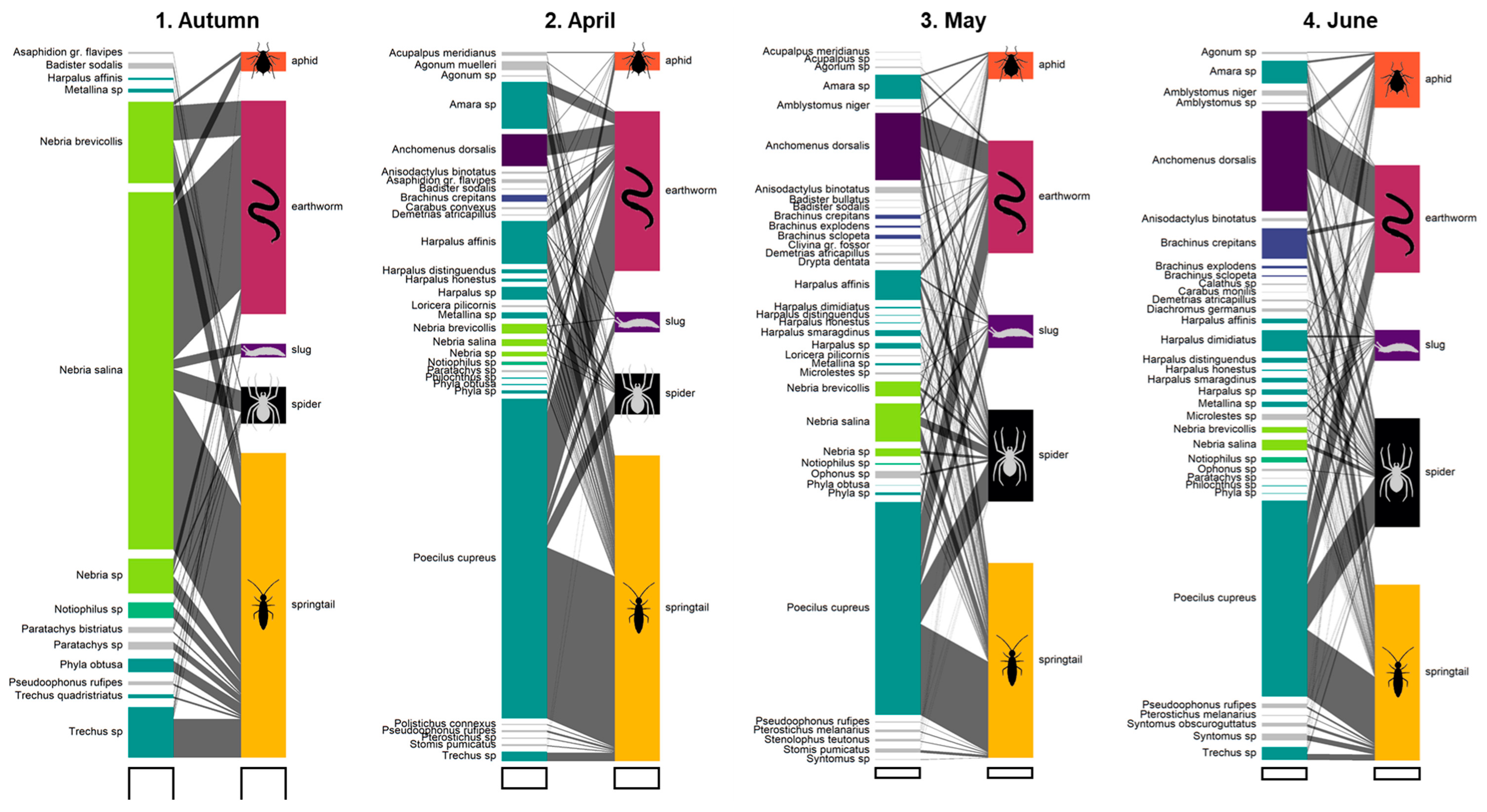 Insects 15 00610 g001