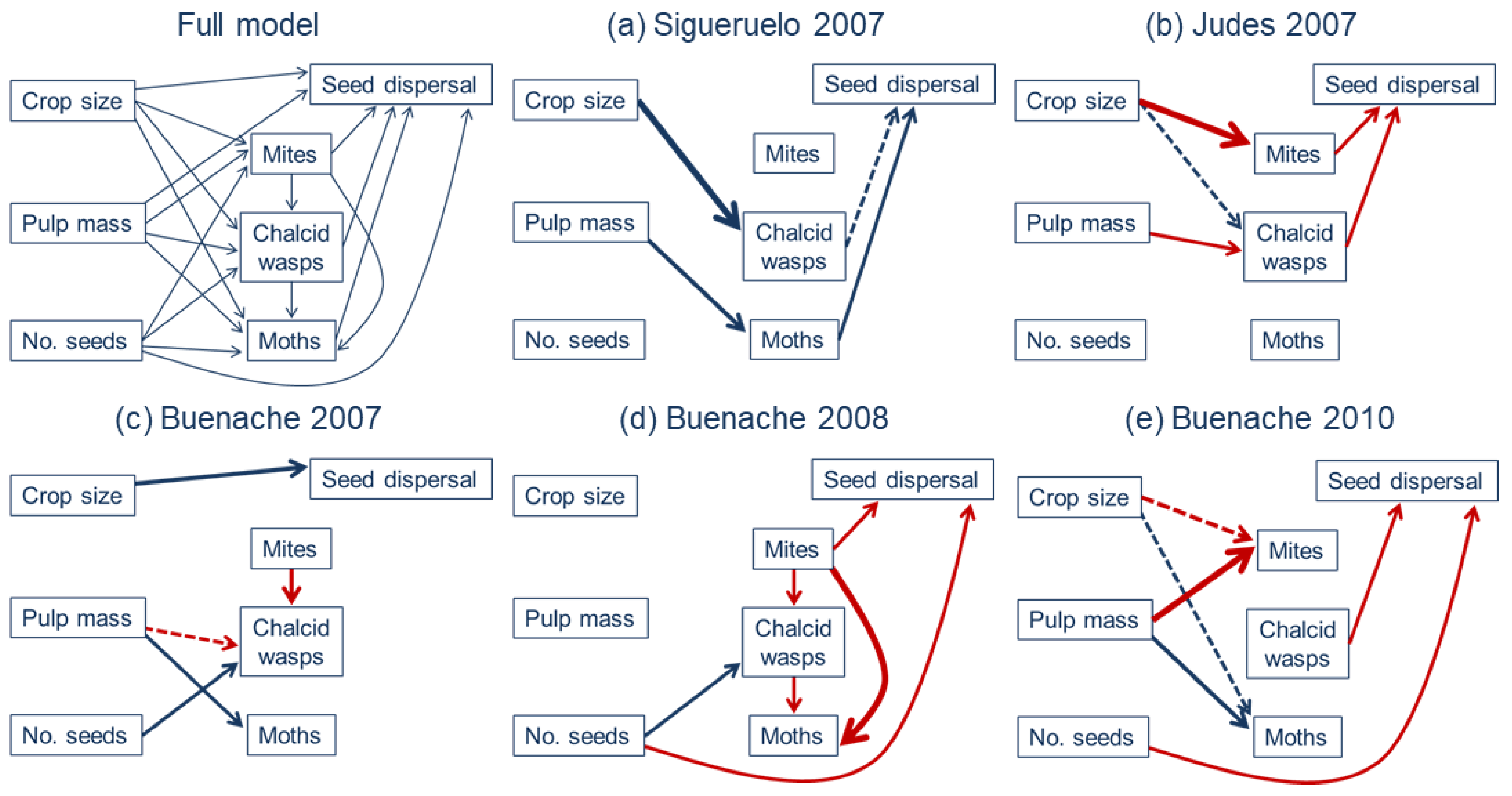 Insects 15 00620 g004