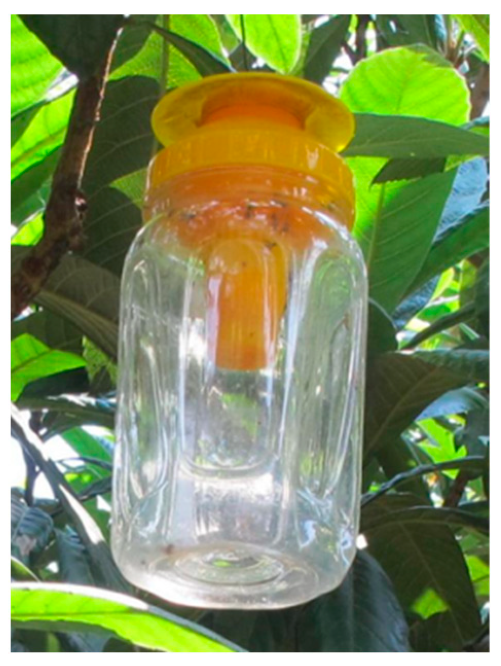 Insects 15 00621 g003