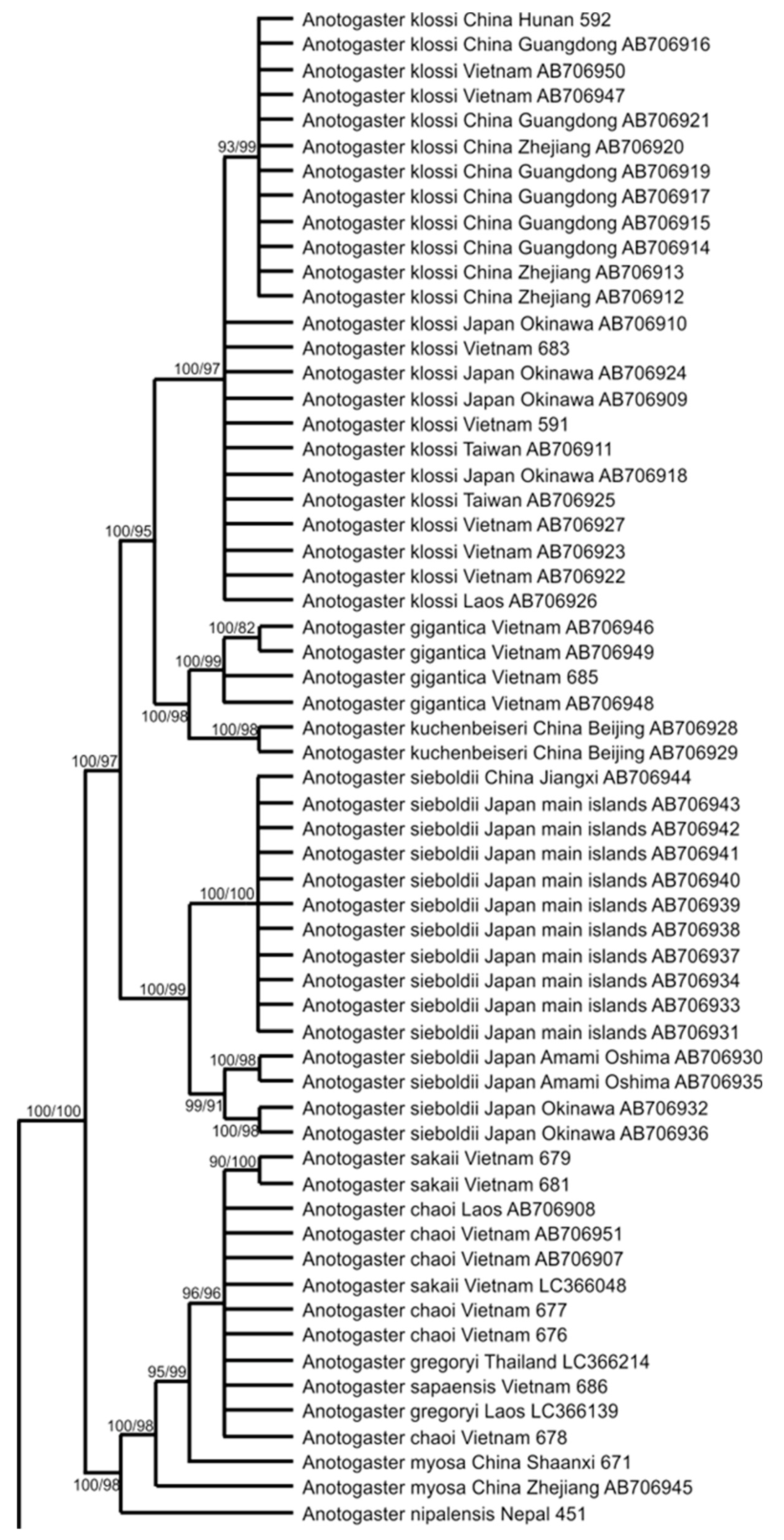 Insects 15 00622 g001a