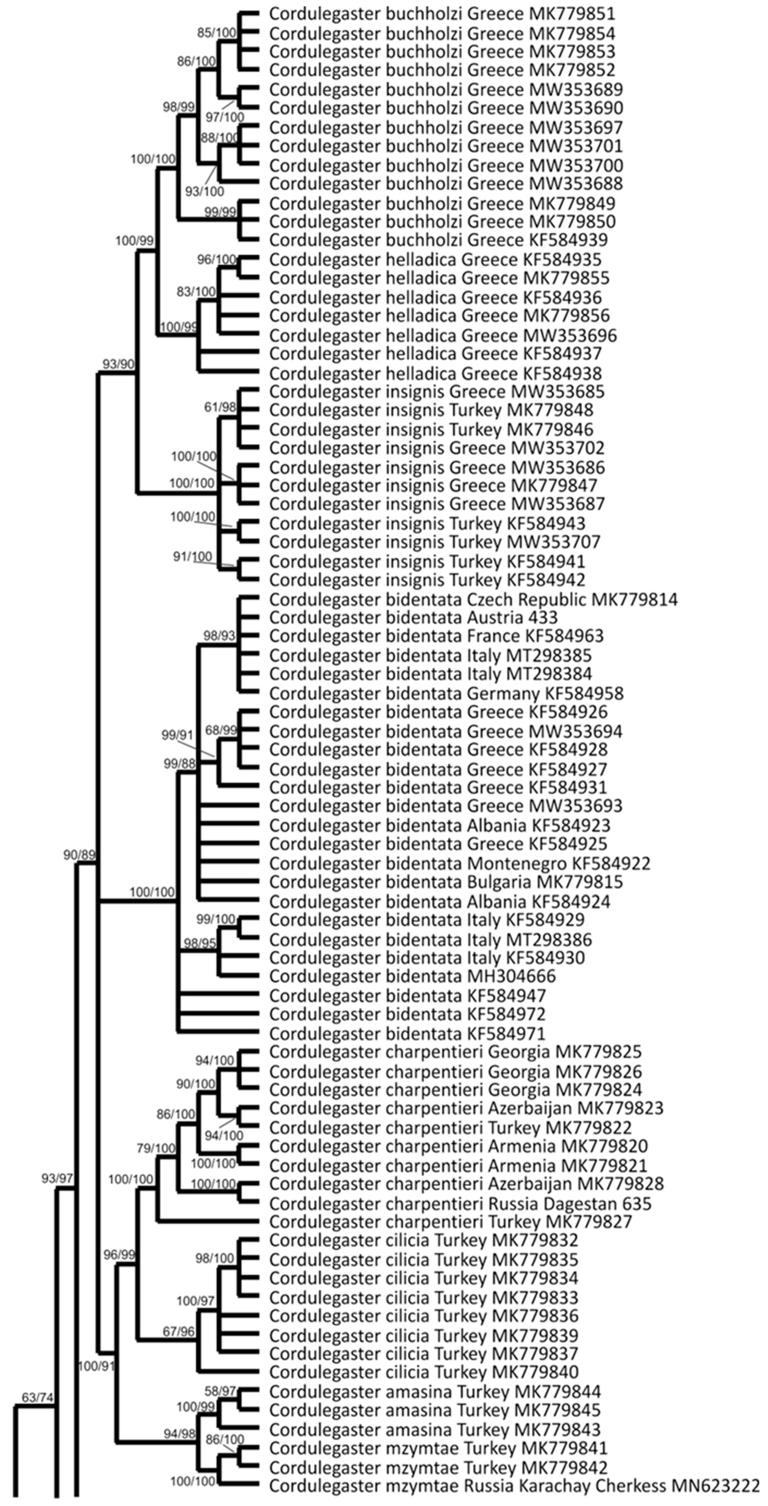 Insects 15 00622 g002a