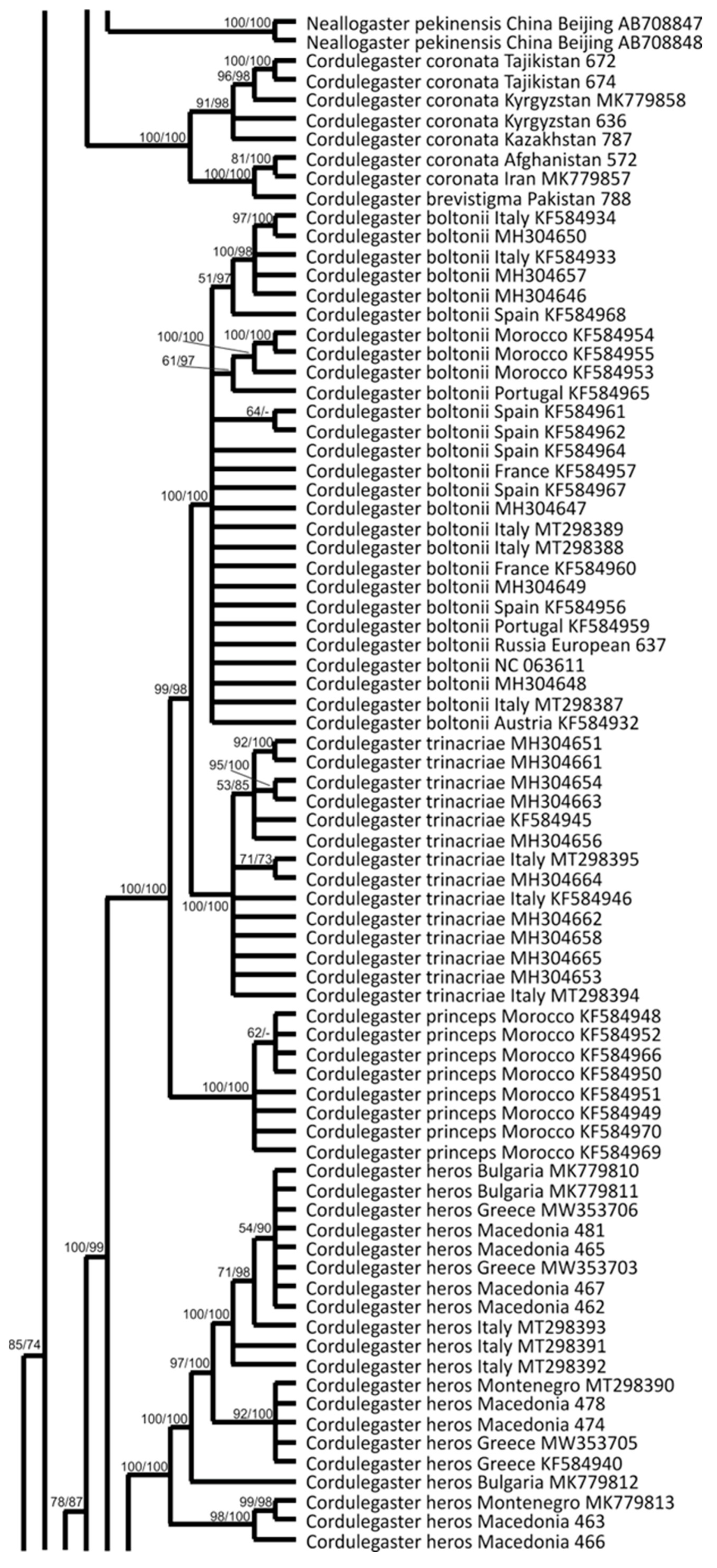 Insects 15 00622 g002b