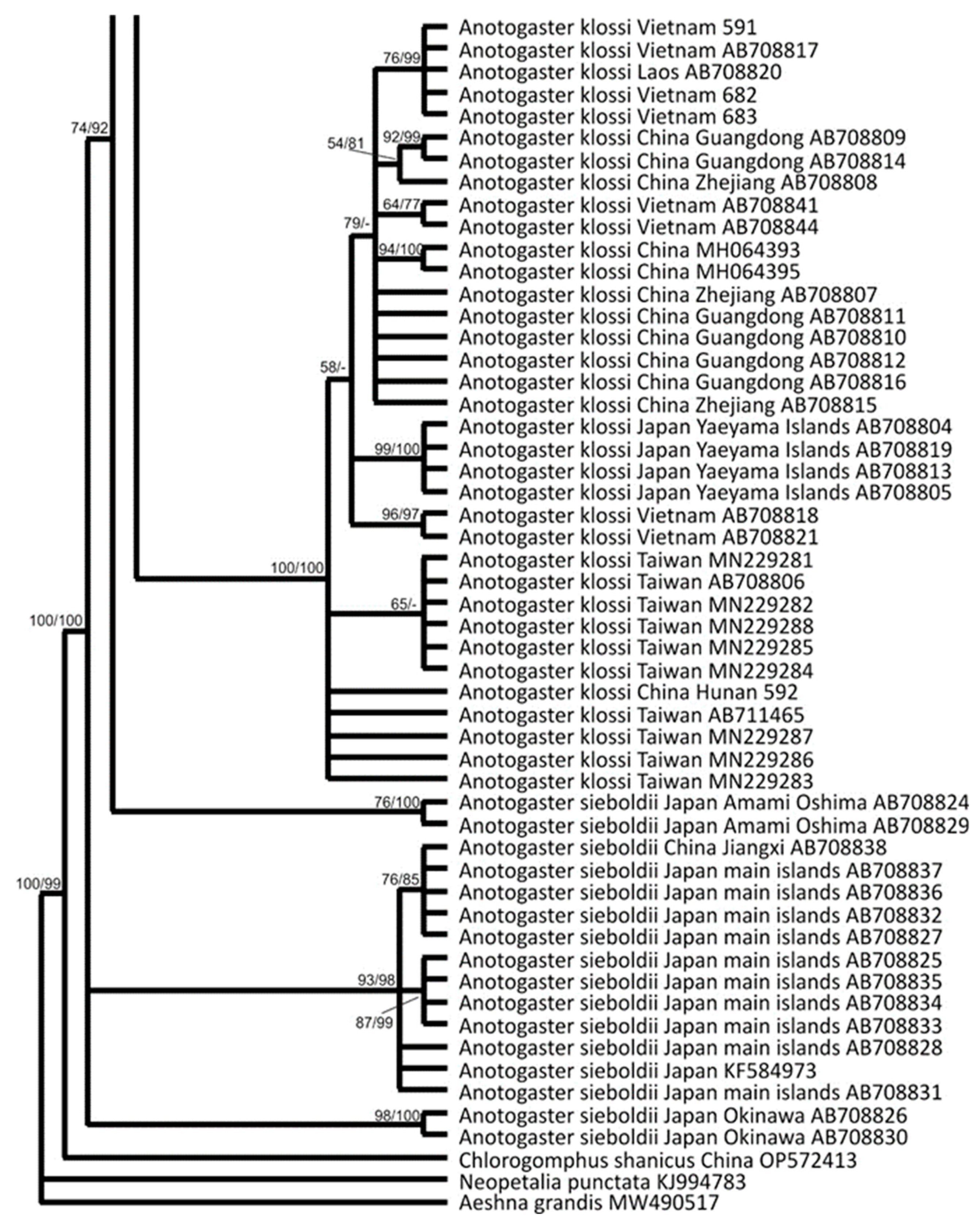Insects 15 00622 g002d