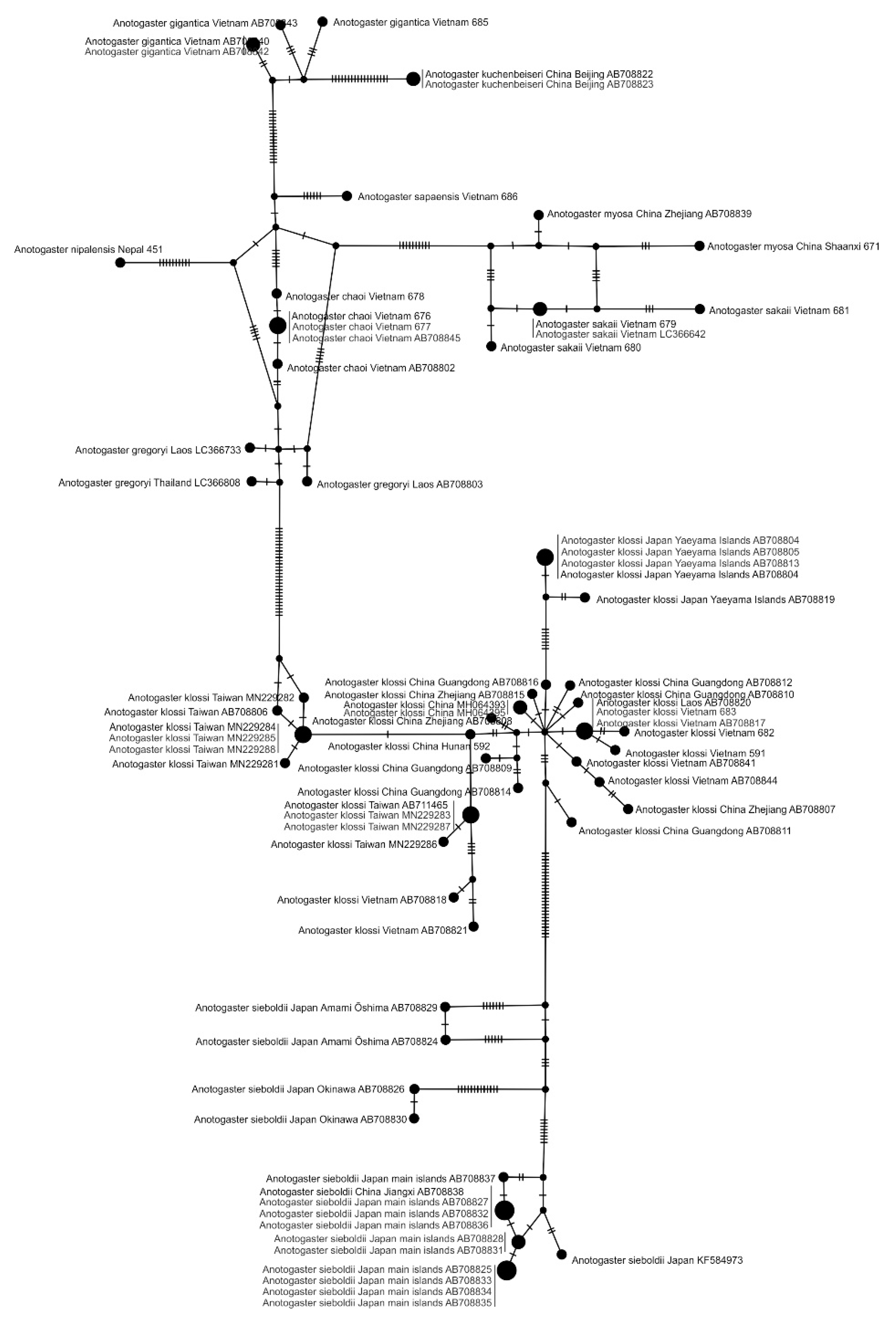 Insects 15 00622 g004