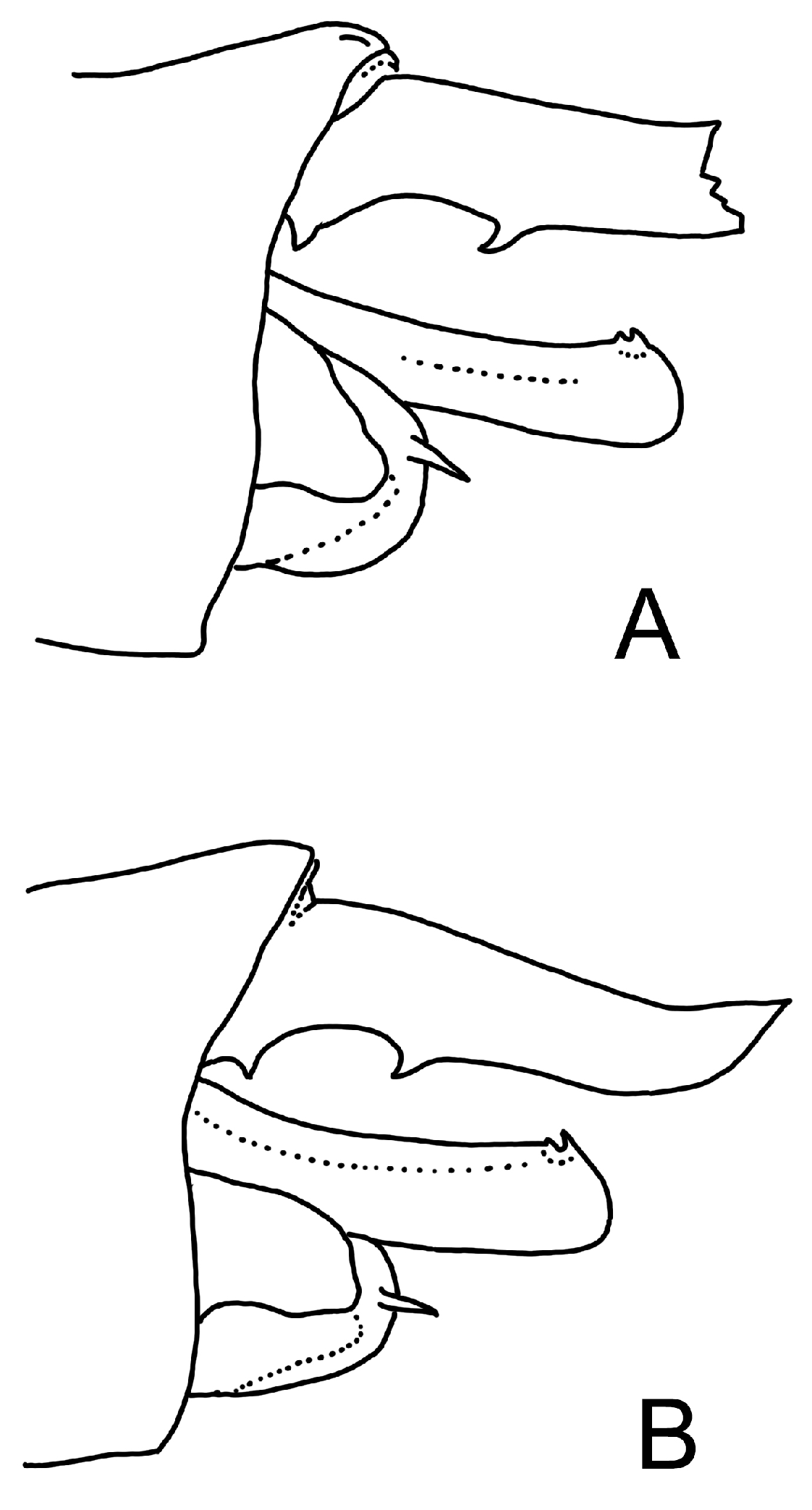 Insects 15 00622 g009