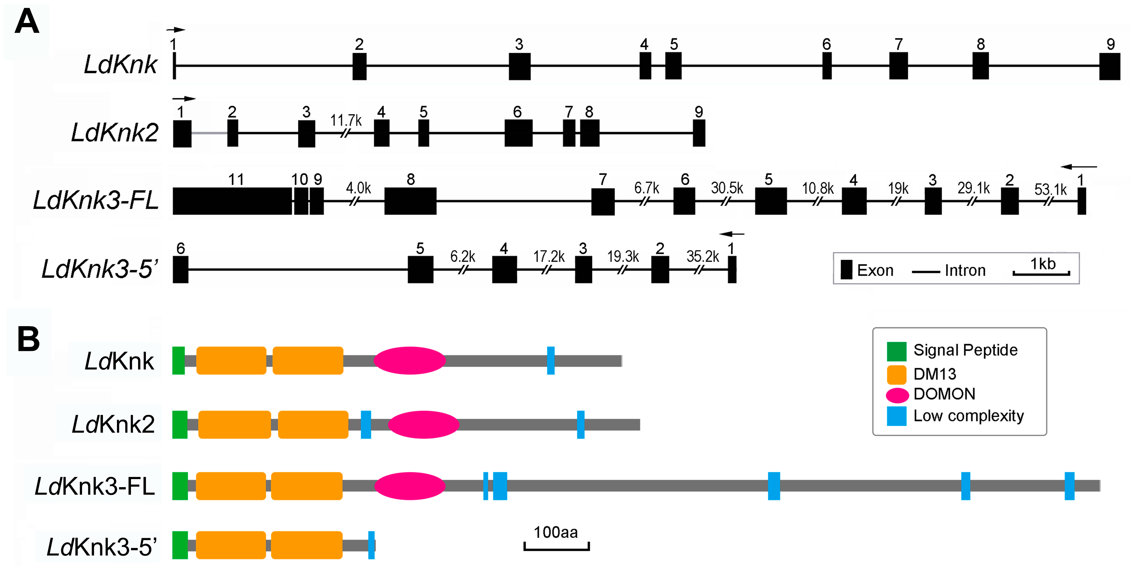 Insects 15 00623 g001