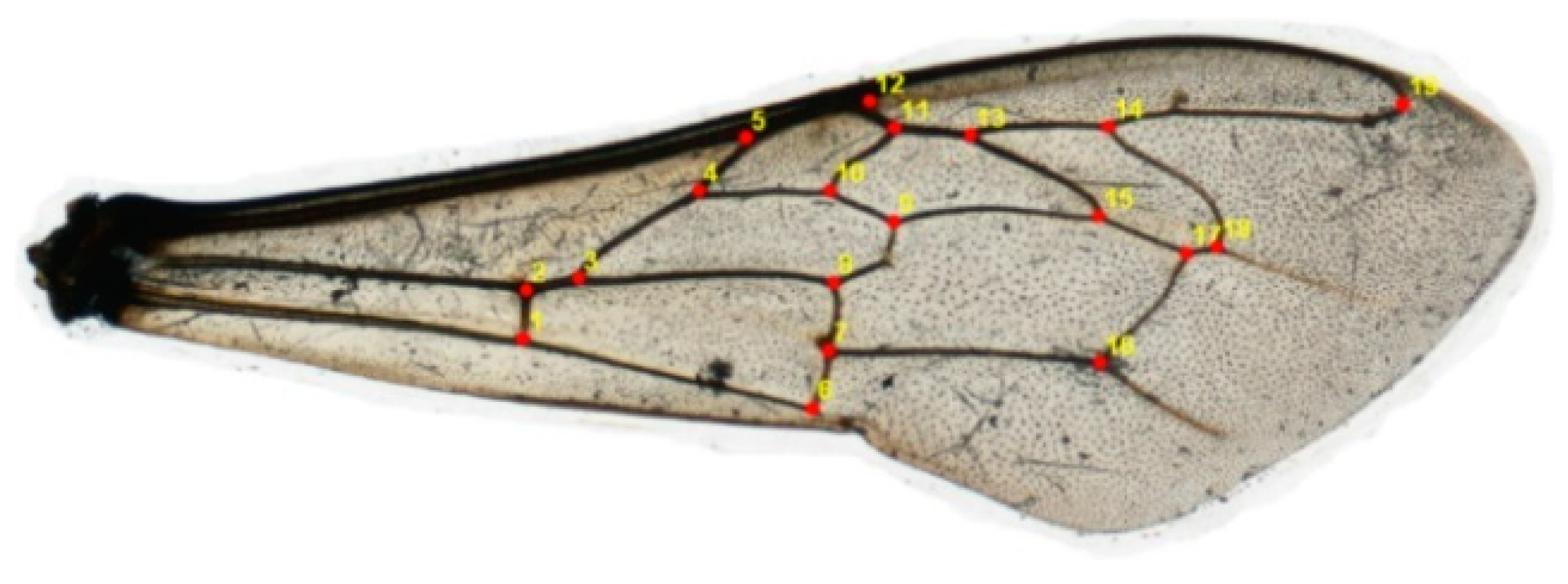 Insects 15 00628 g002 Insects 15 00628 g002