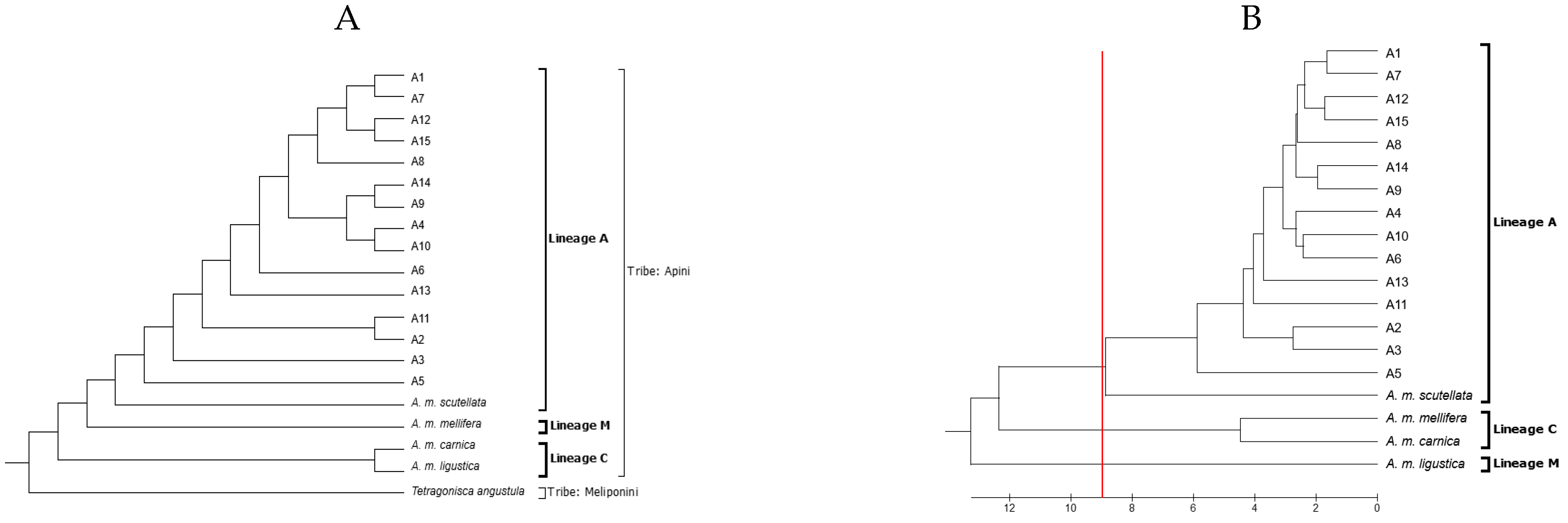 Insects 15 00628 g004 Insects 15 00628 g004
