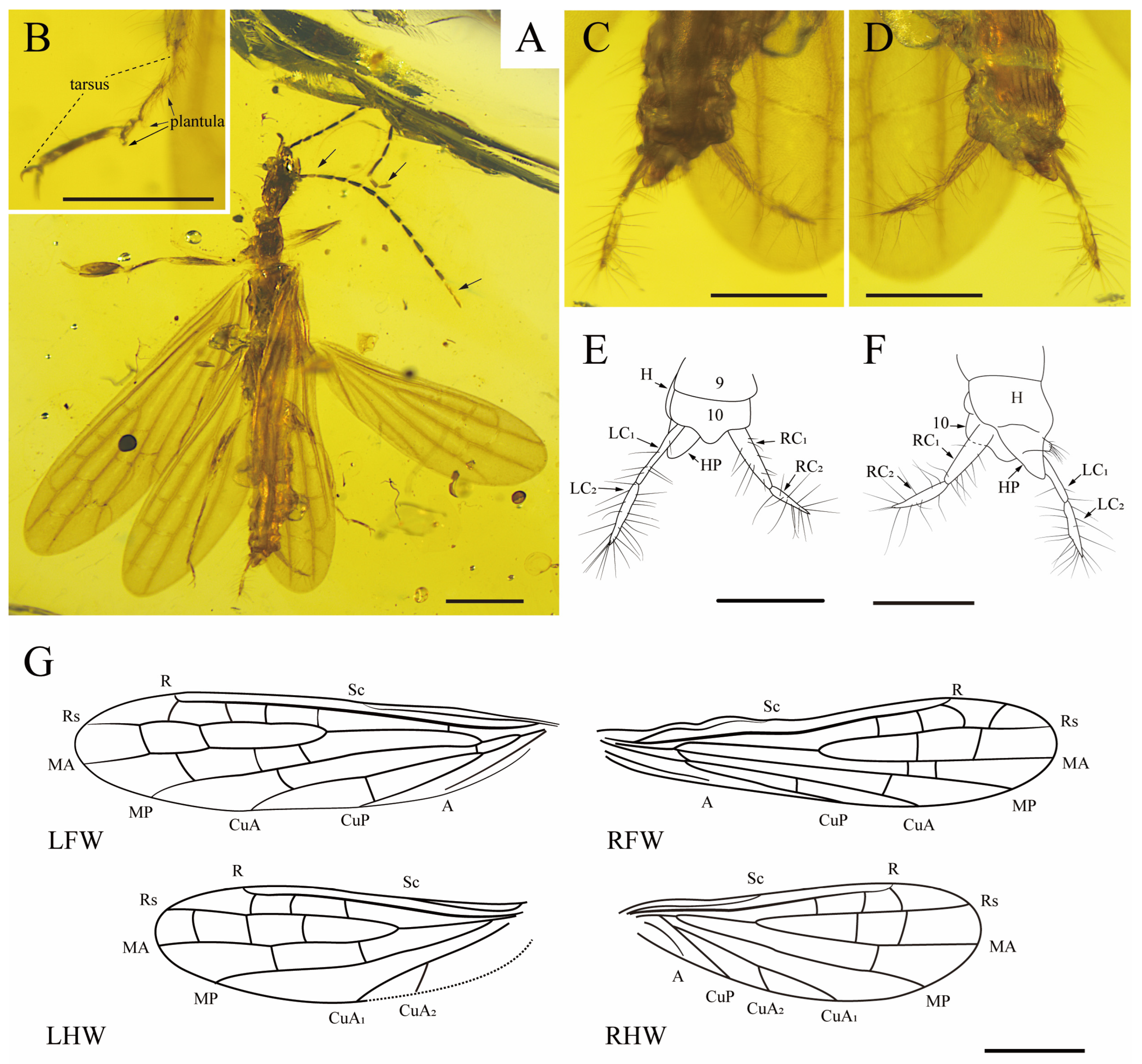 Insects 15 00636 g001 Insects 15 00636 g001