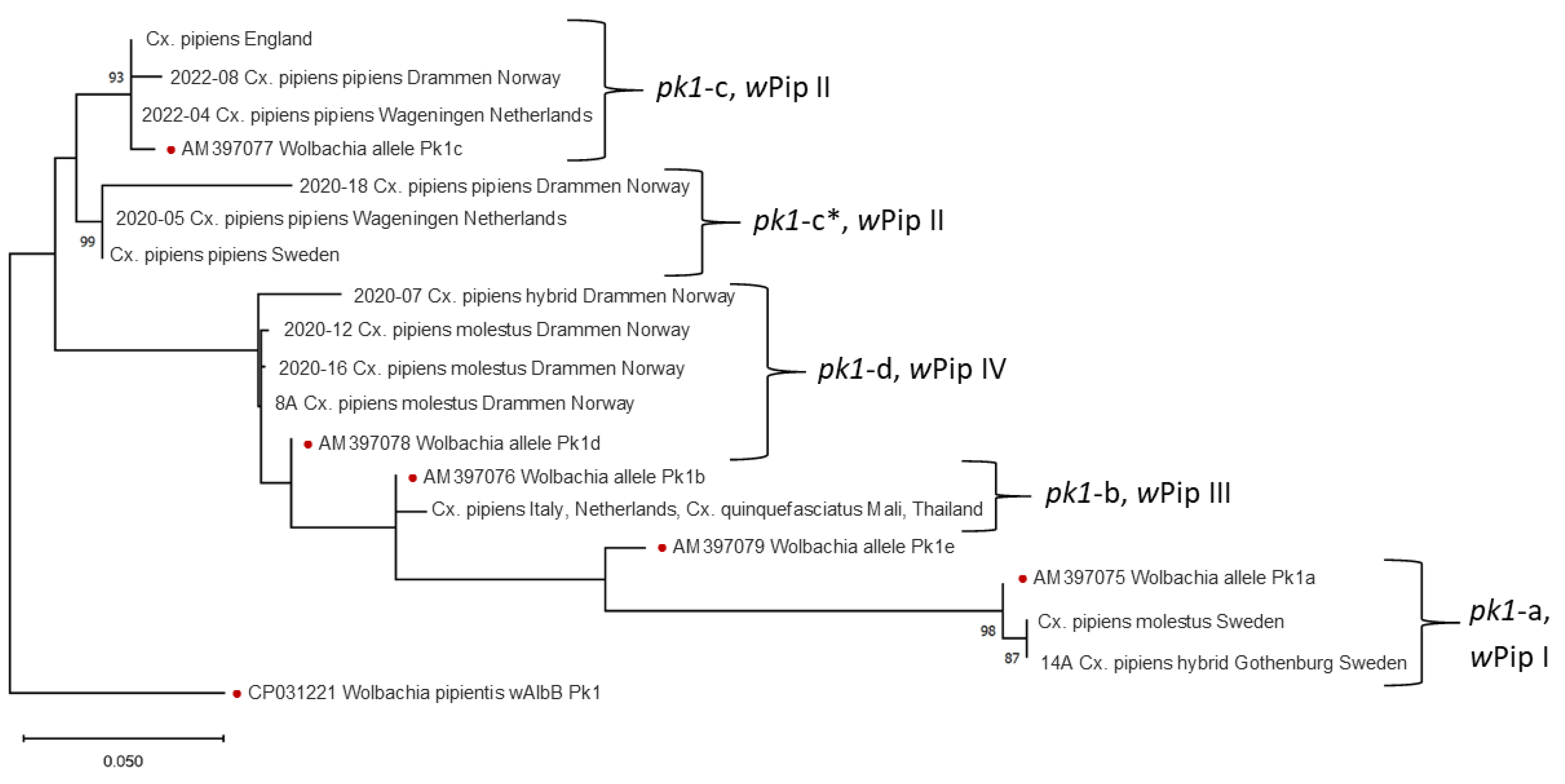 Insects 15 00639 g003