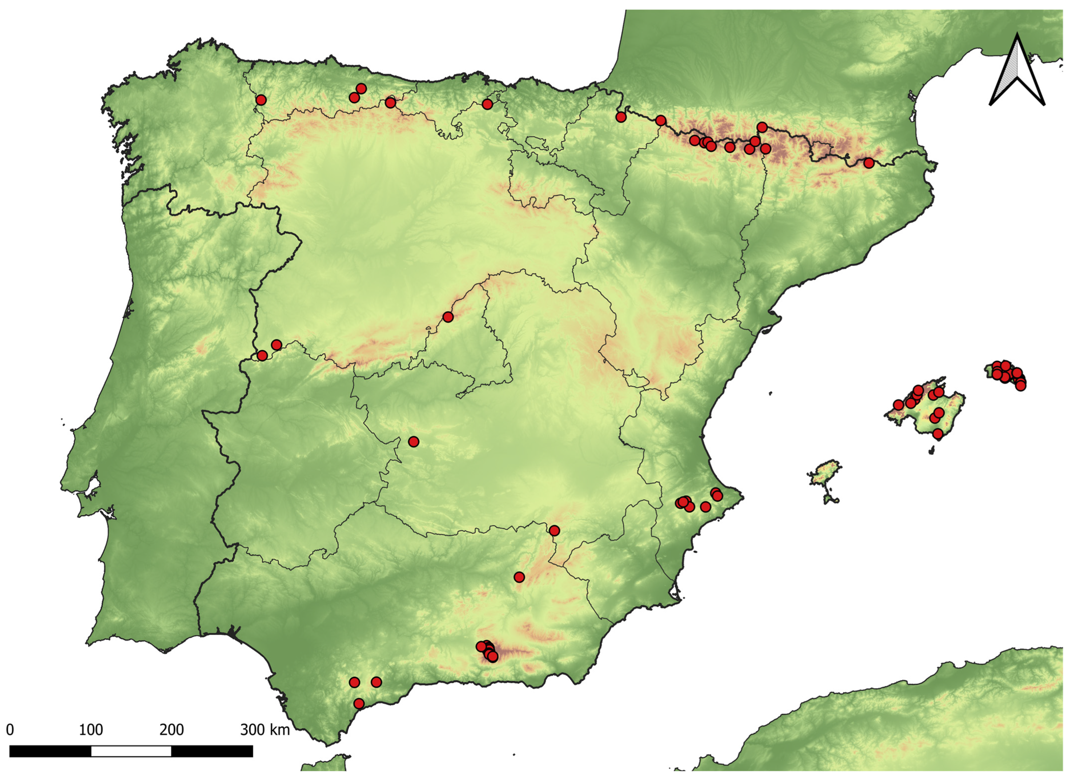 Insects 15 00640 g001