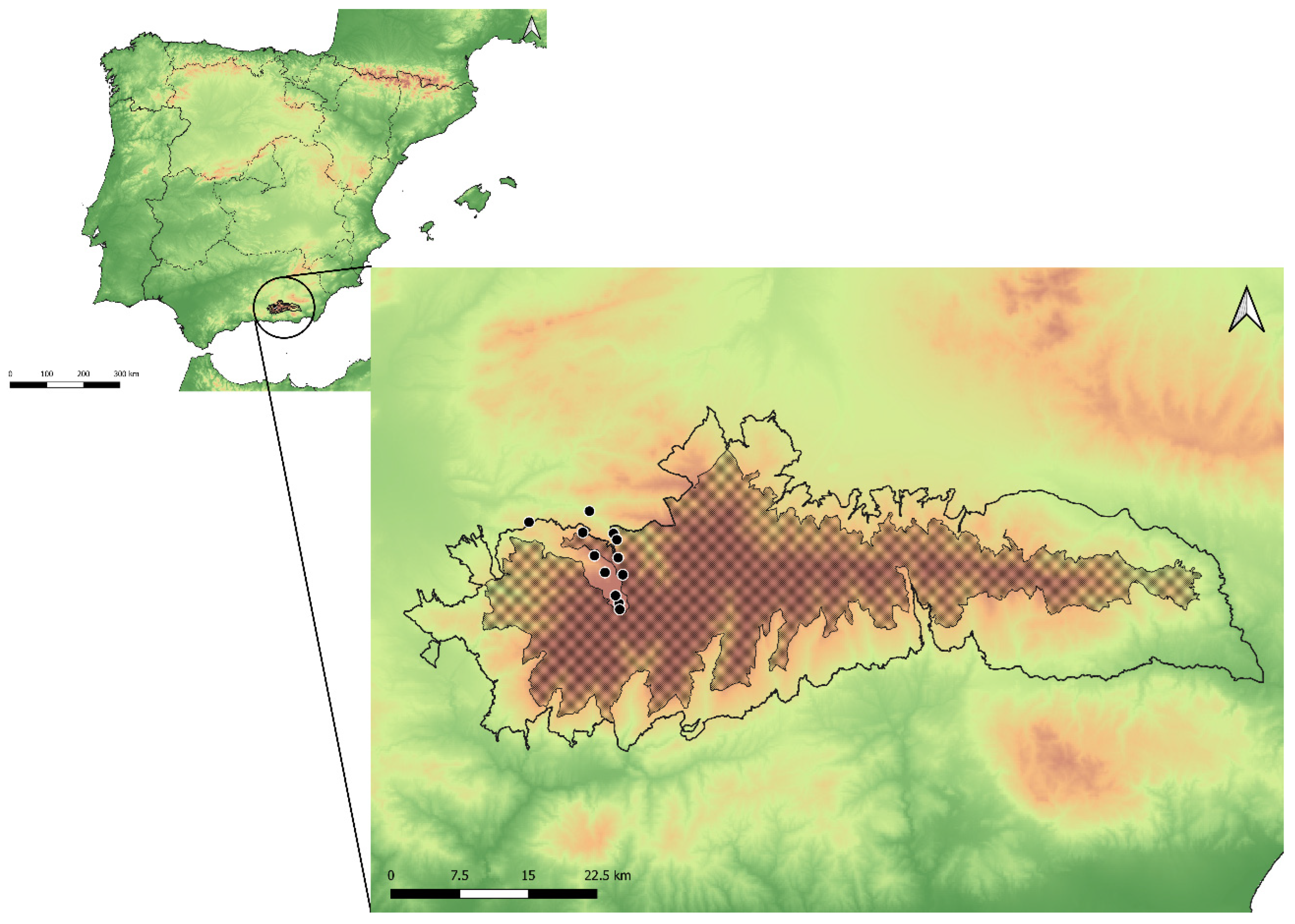 Insects 15 00640 g002