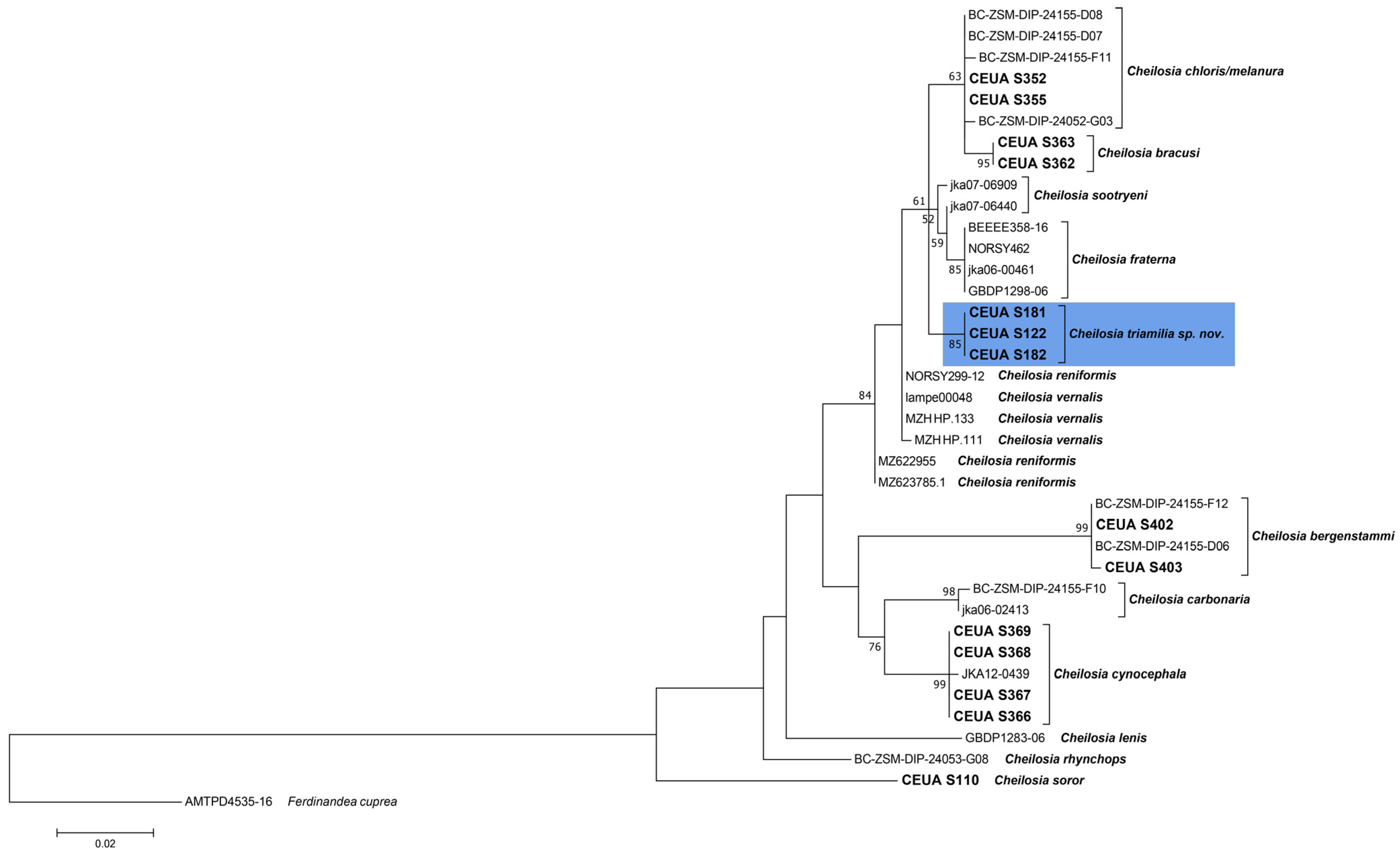 Insects 15 00640 g003