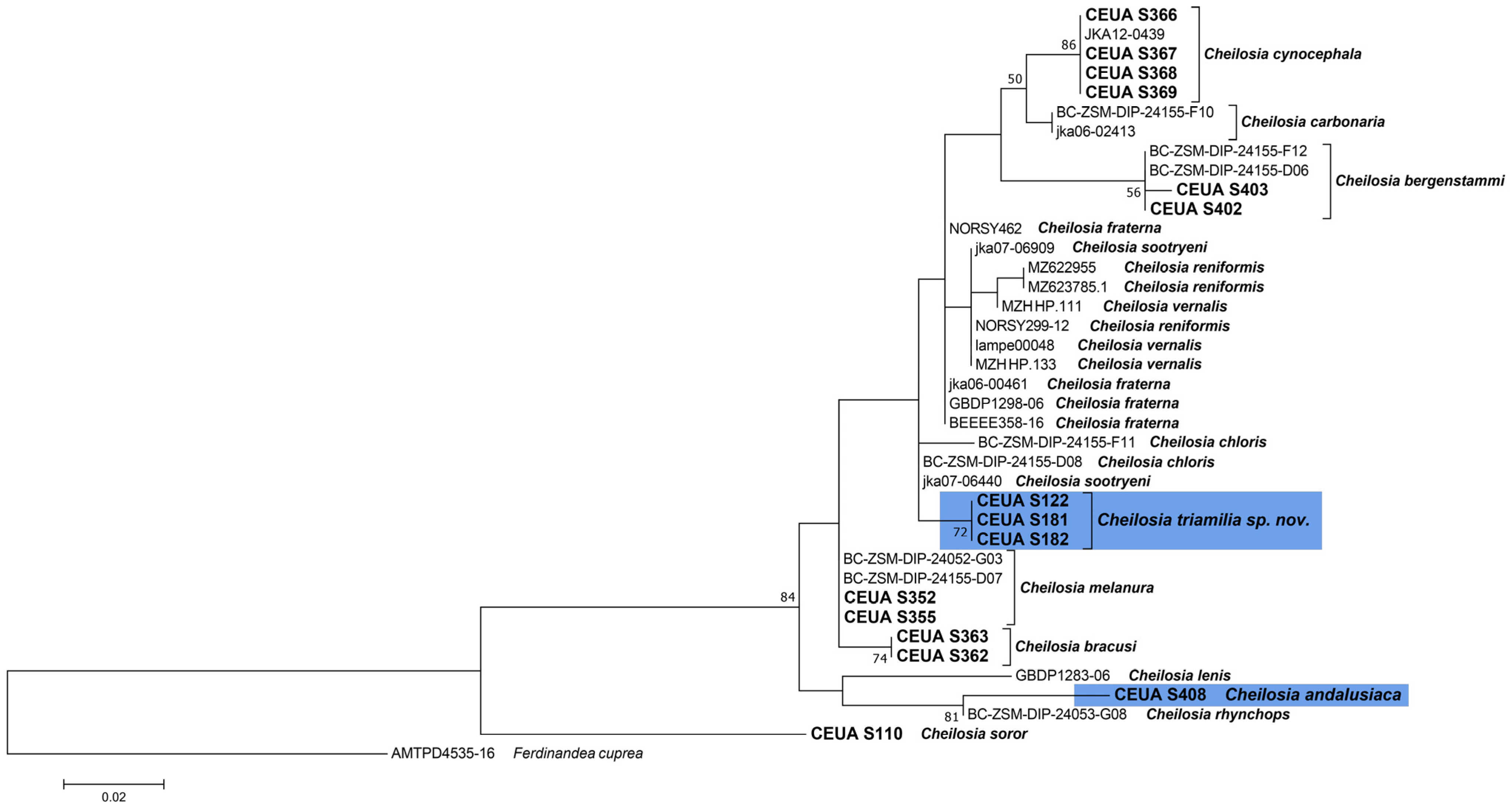 Insects 15 00640 g004