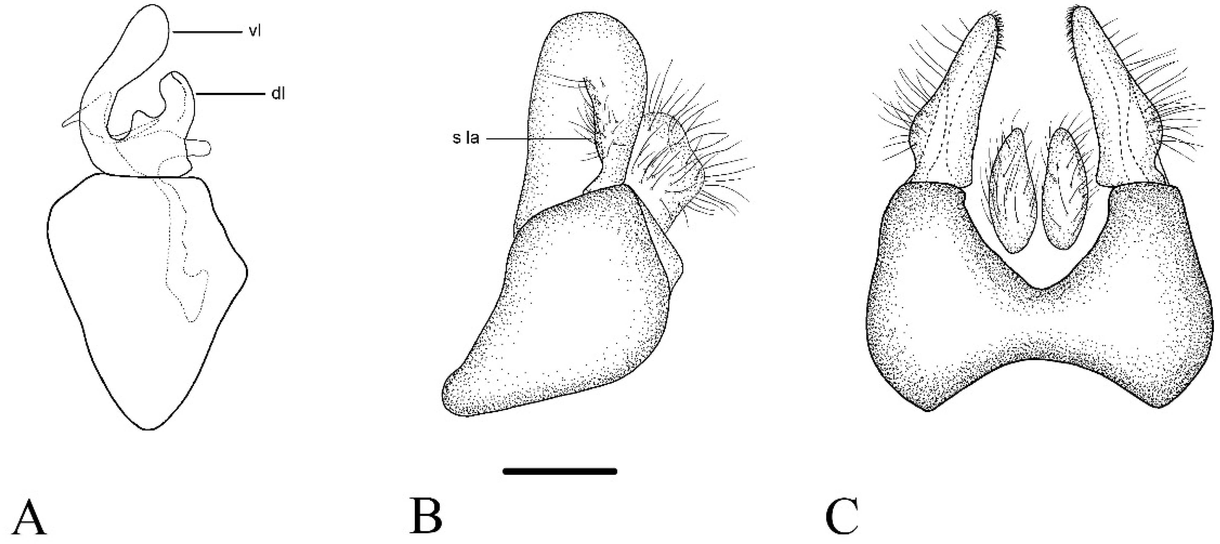 Insects 15 00640 g008
