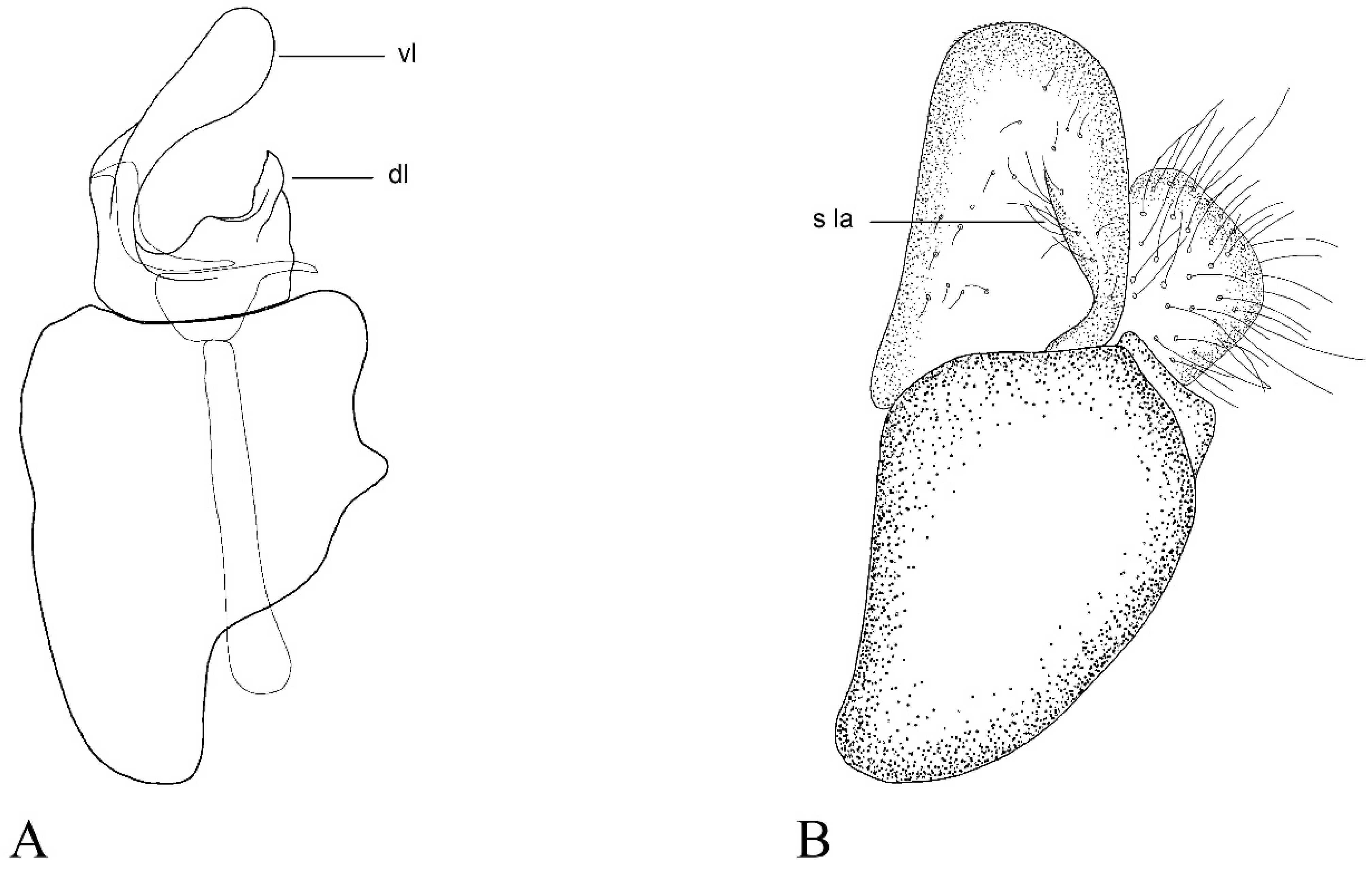 Insects 15 00640 g010
