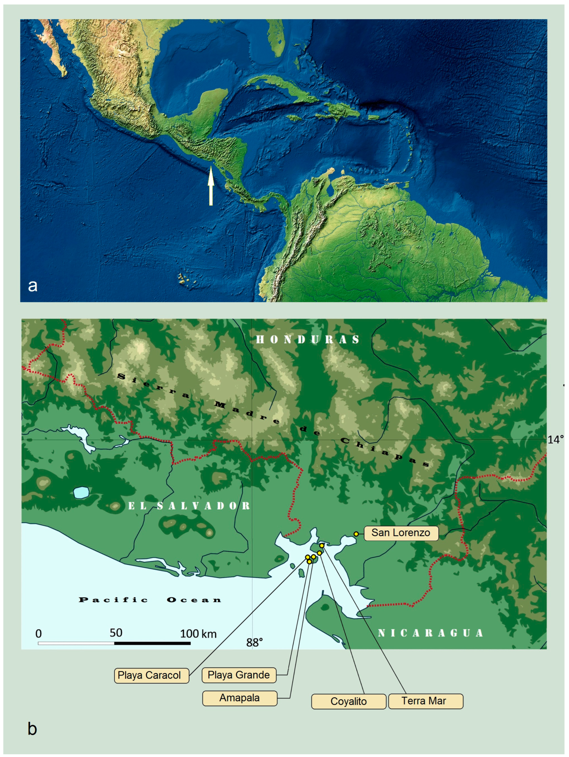 Insects 15 00641 g001