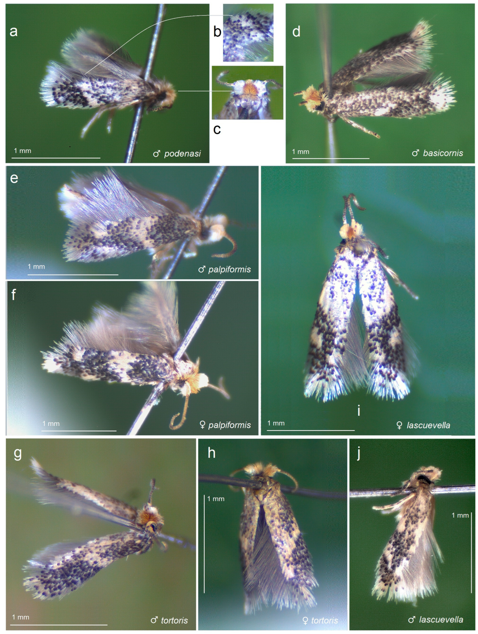 Insects 15 00641 g003