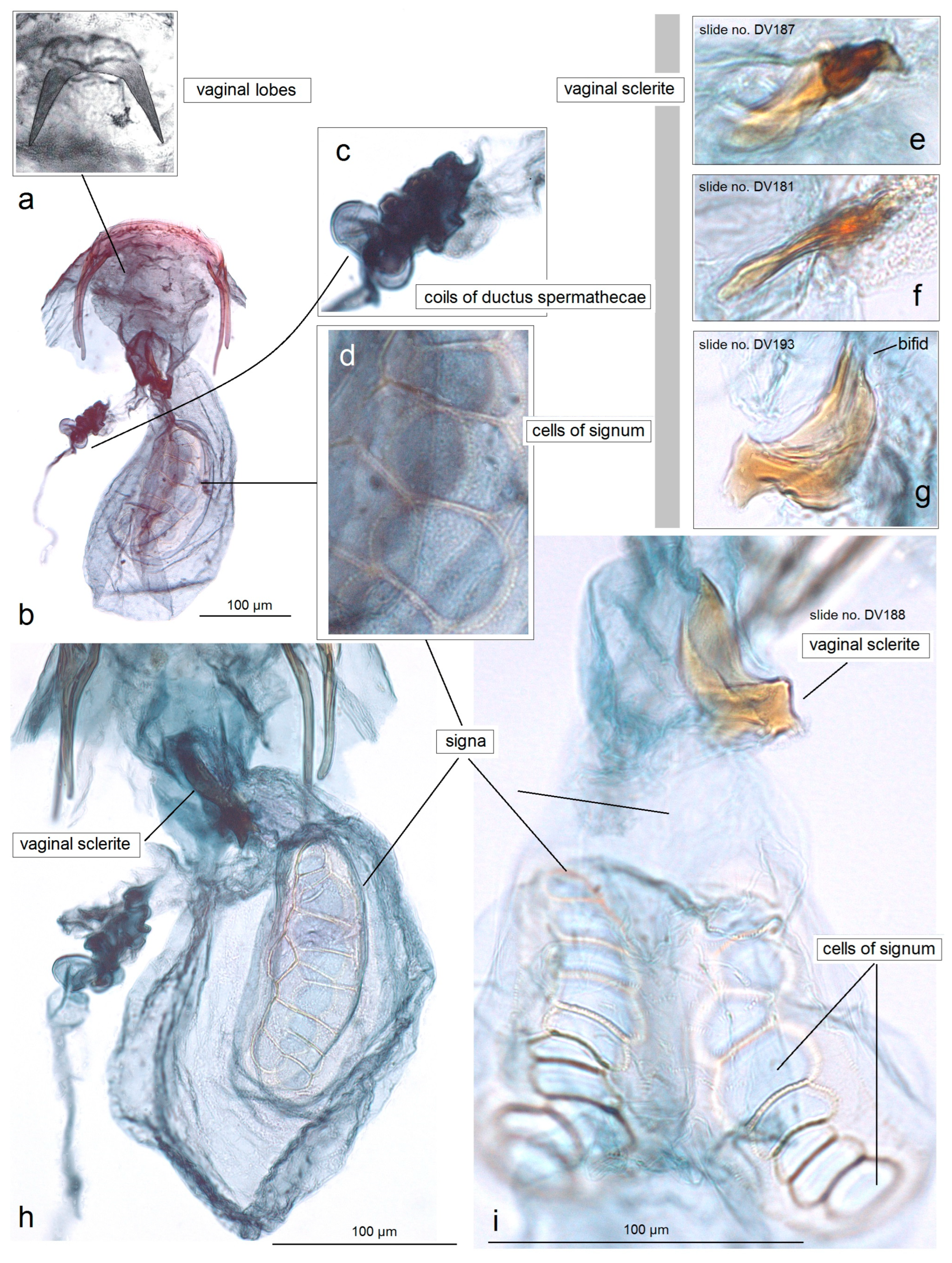 Insects 15 00641 g007
