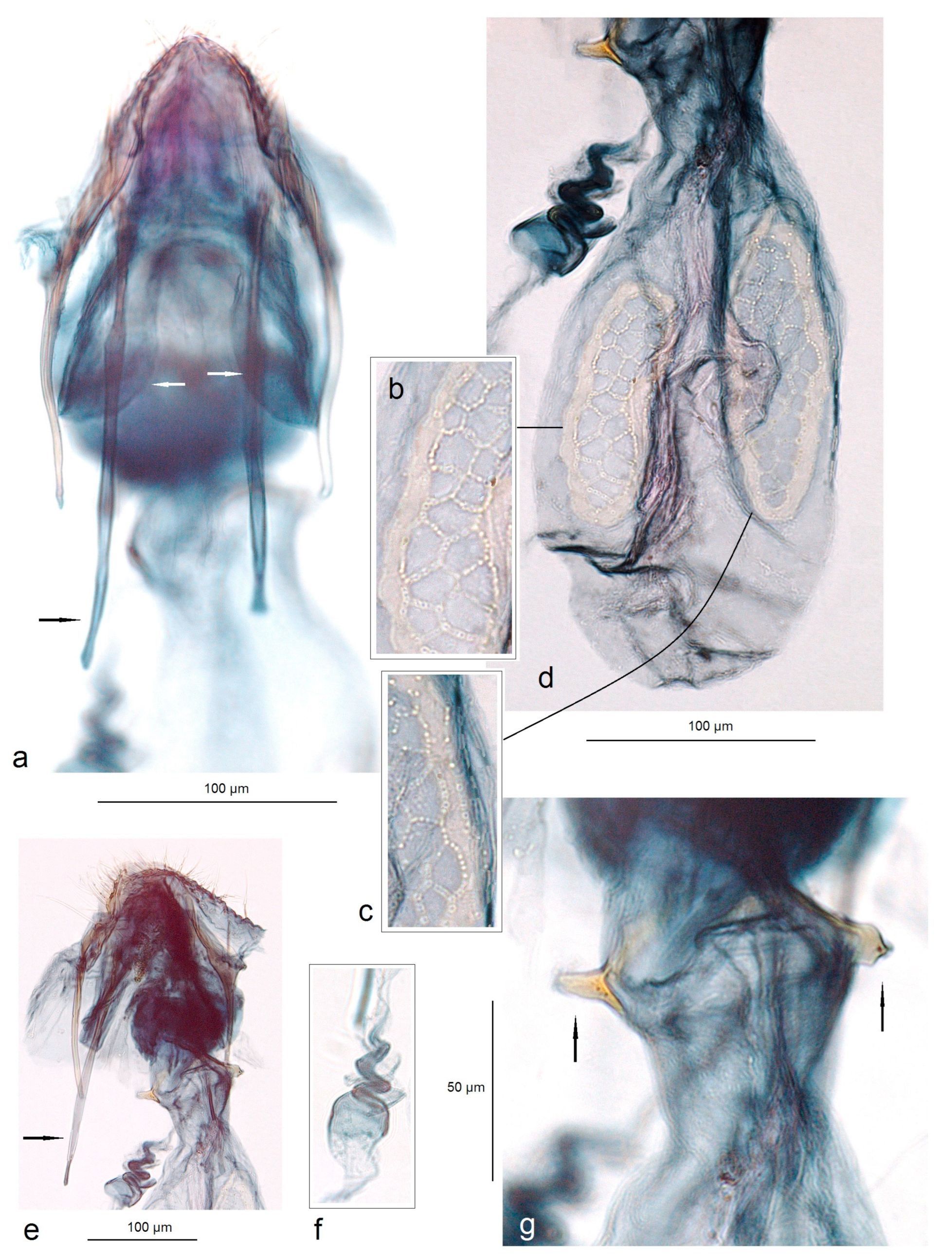 Insects 15 00641 g010