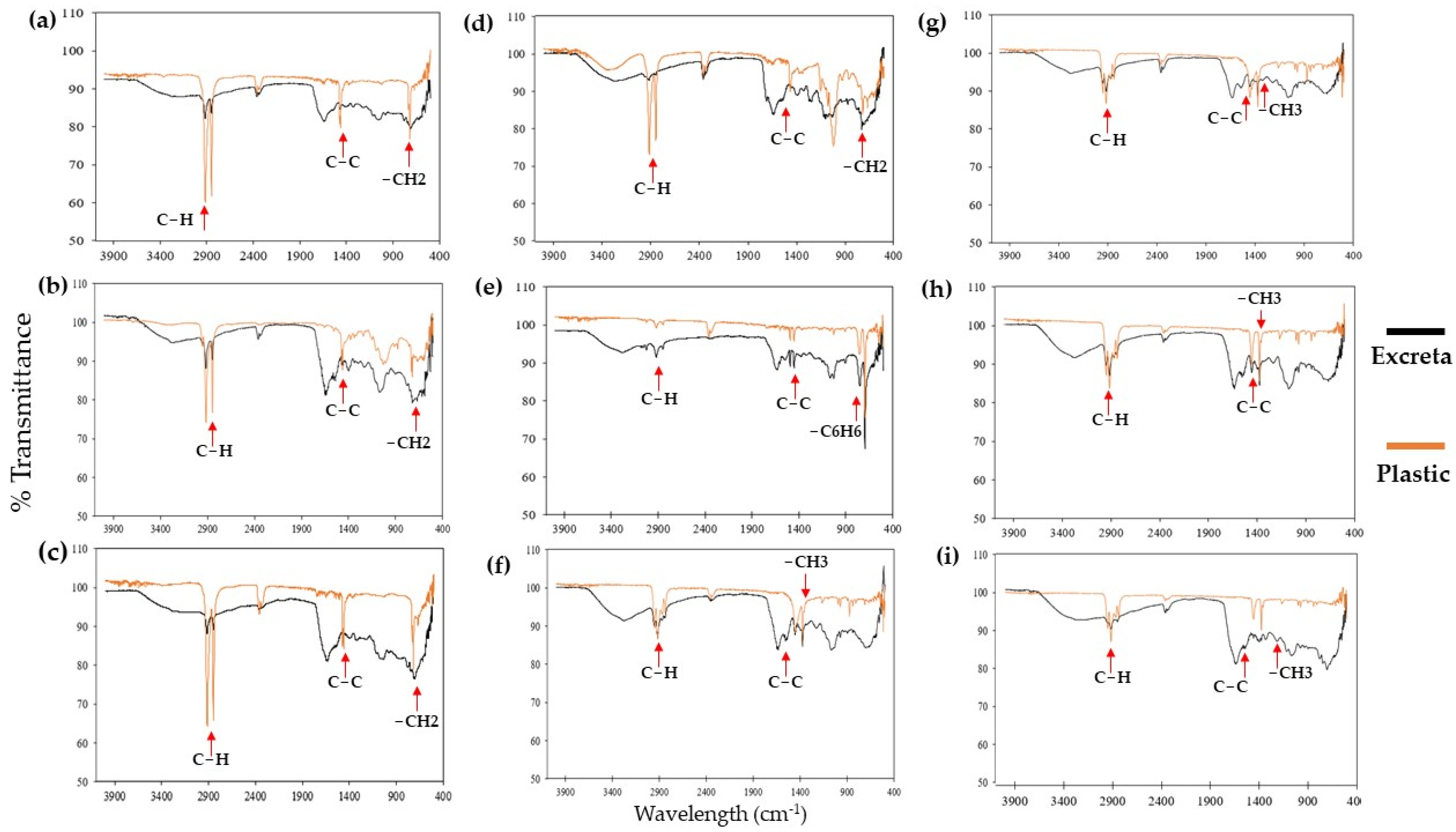 Insects 15 00645 g007