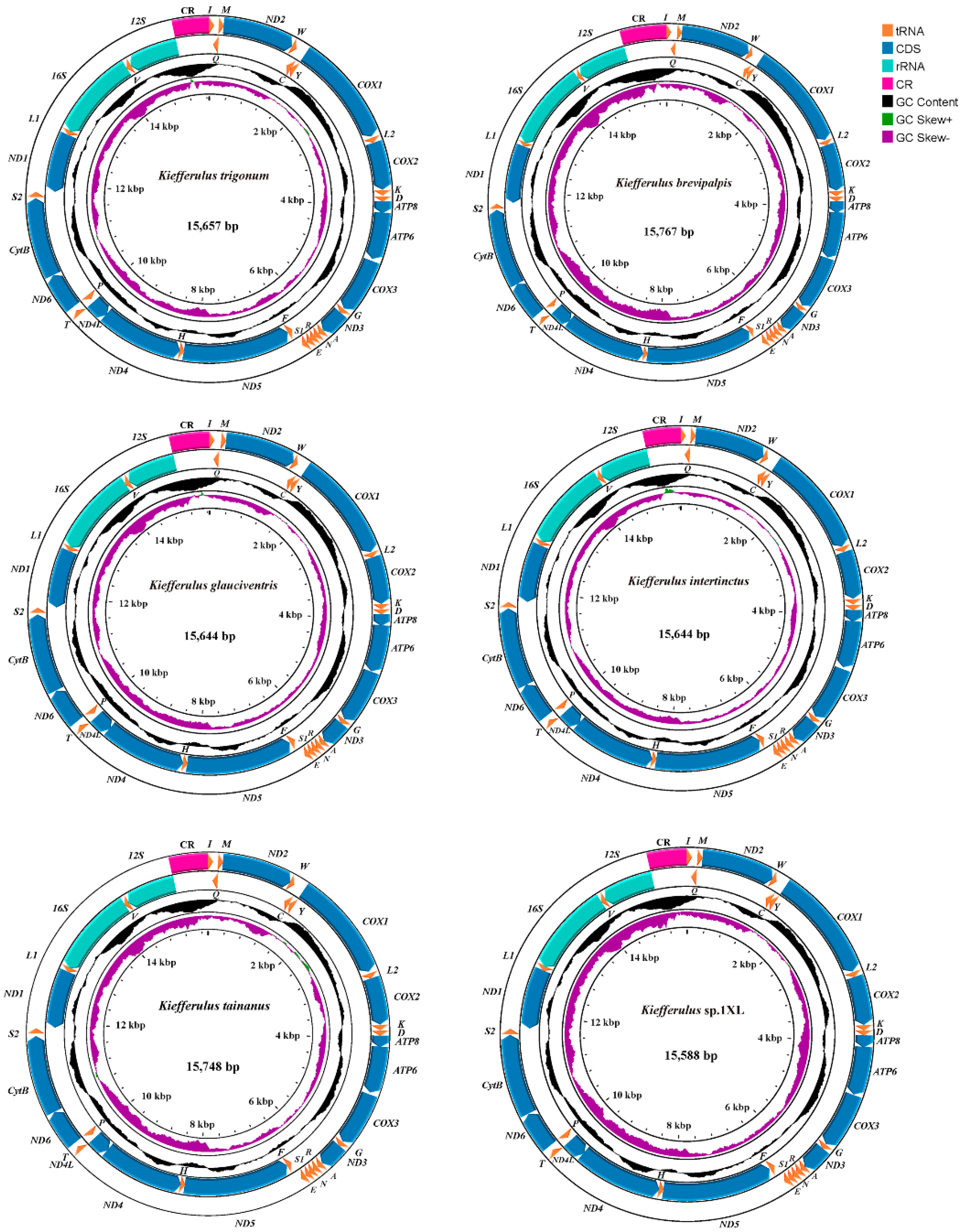 Insects 15 00646 g001