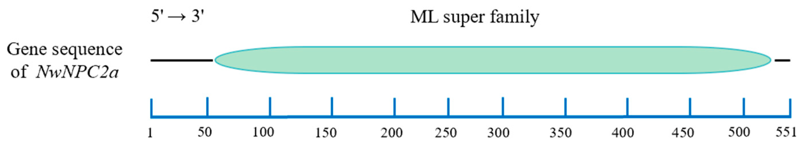 Insects 15 00647 g002