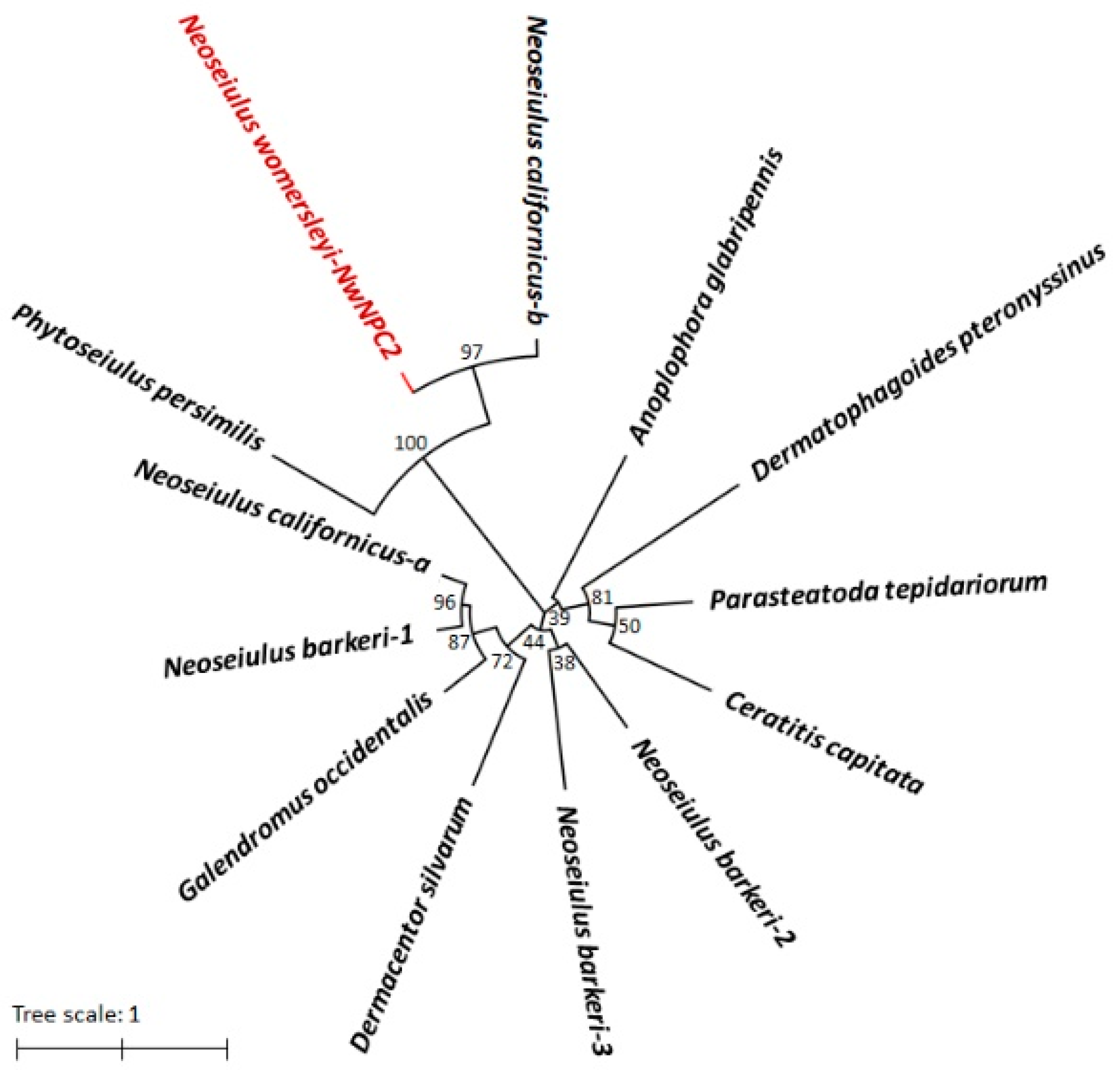 Insects 15 00647 g003