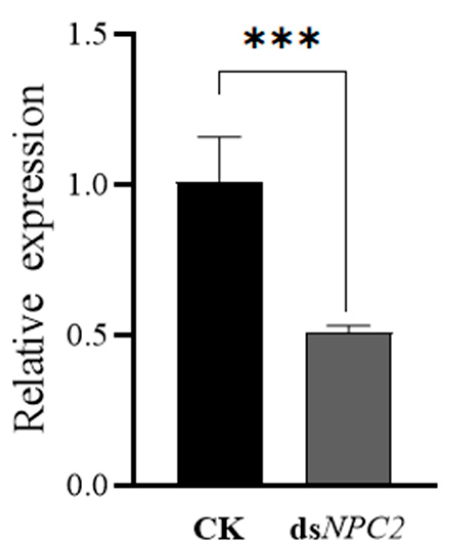 Insects 15 00647 g005
