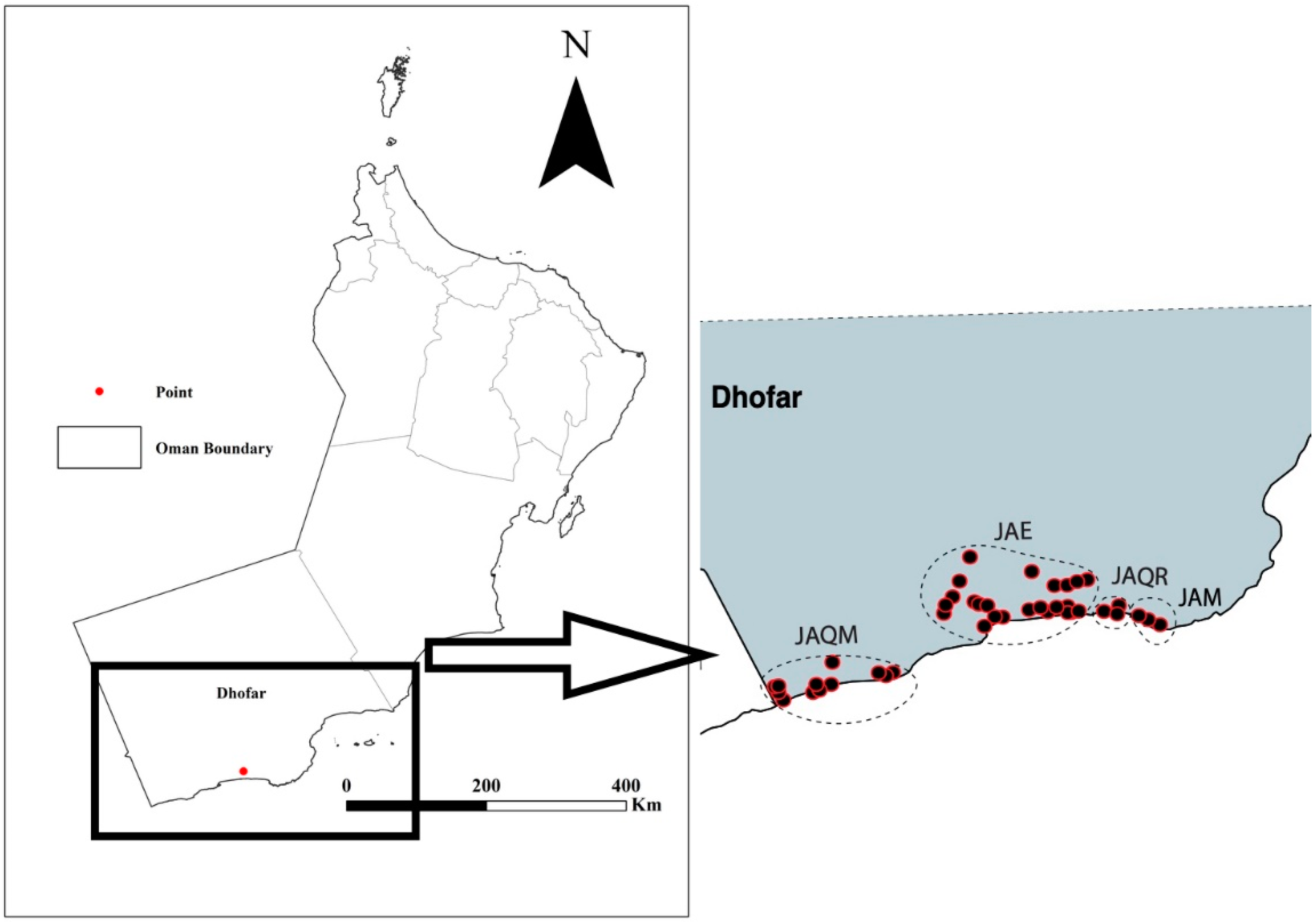 Insects 15 00648 g001