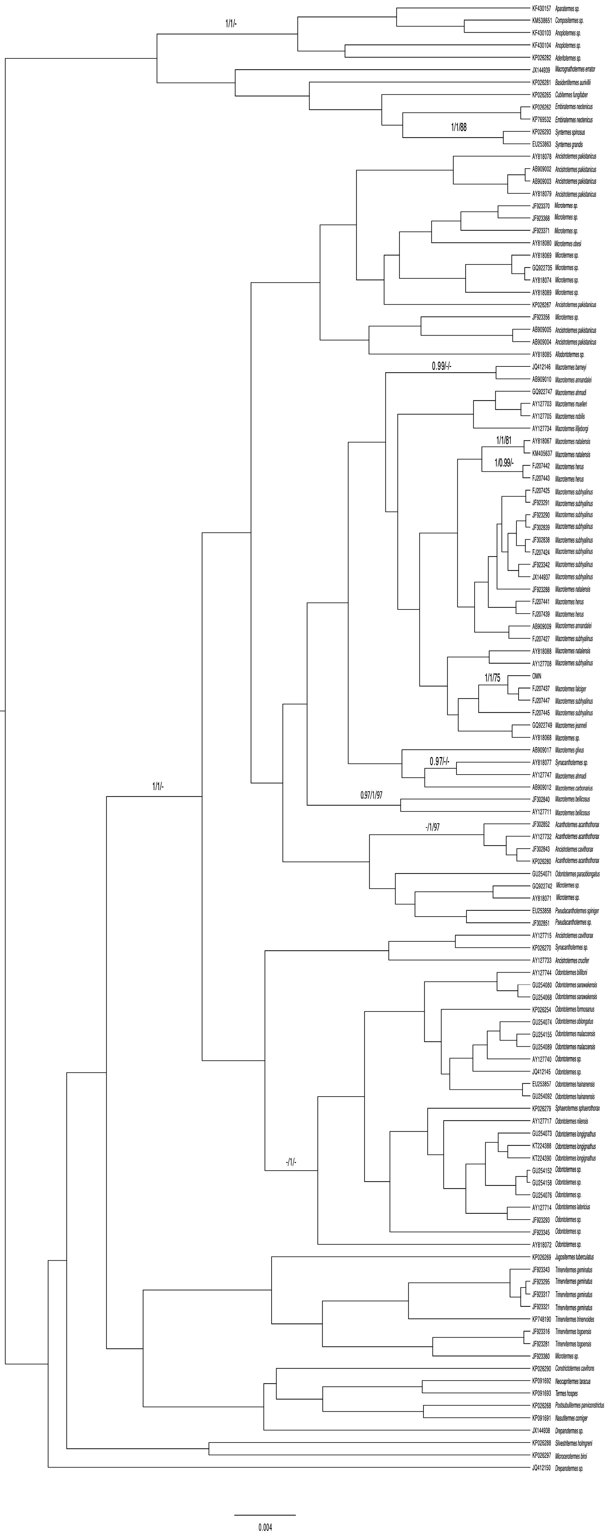 Insects 15 00648 g003