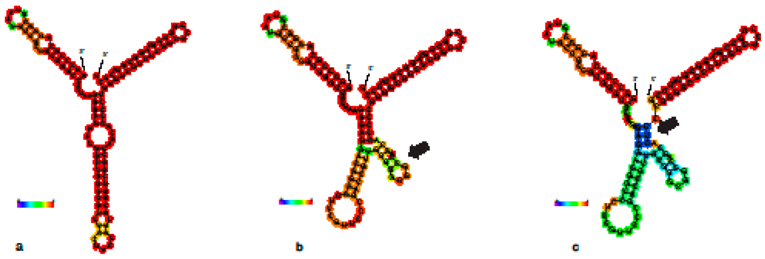 Insects 15 00648 g005