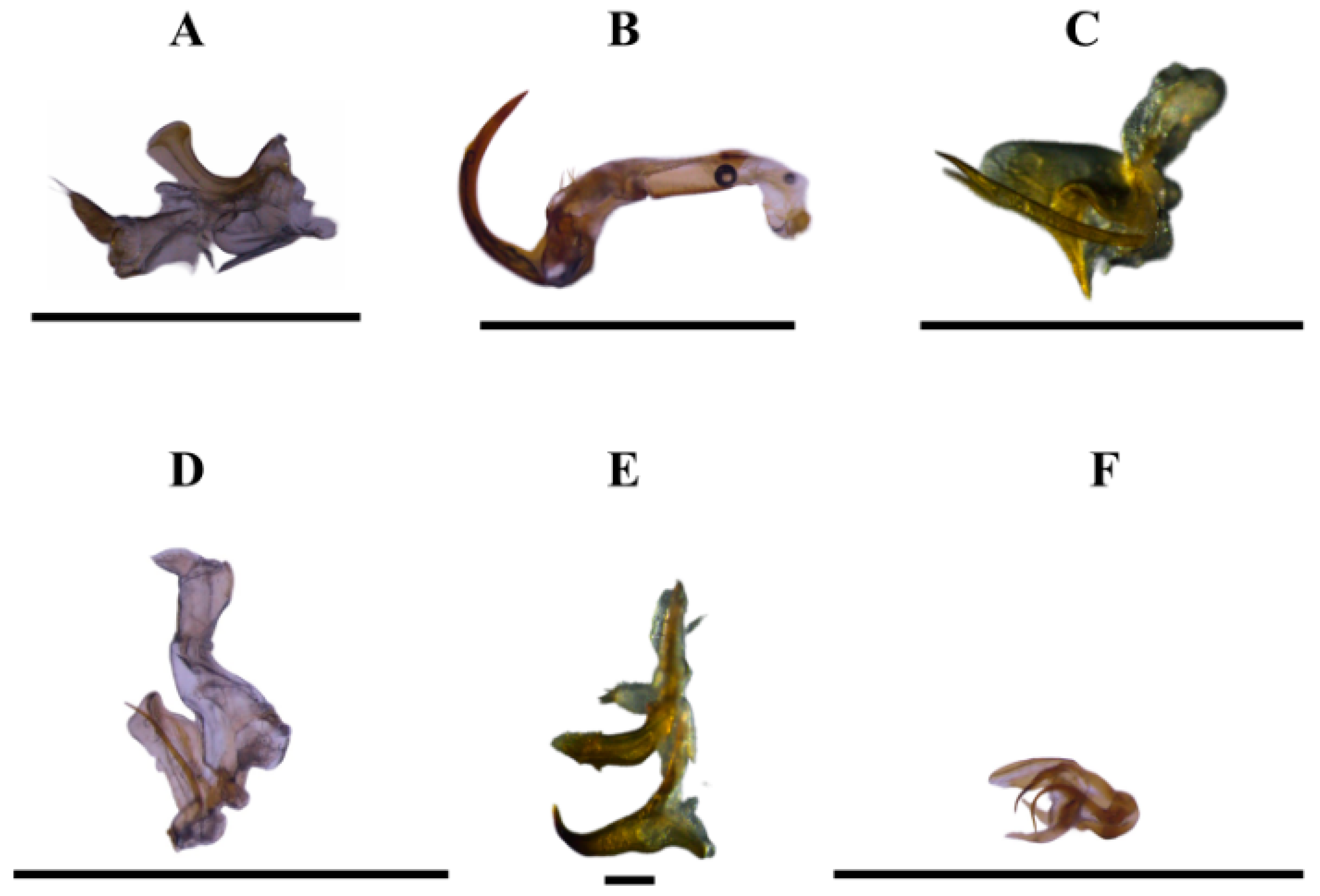 Insects 15 00649 g004 Insects 15 00649 g004