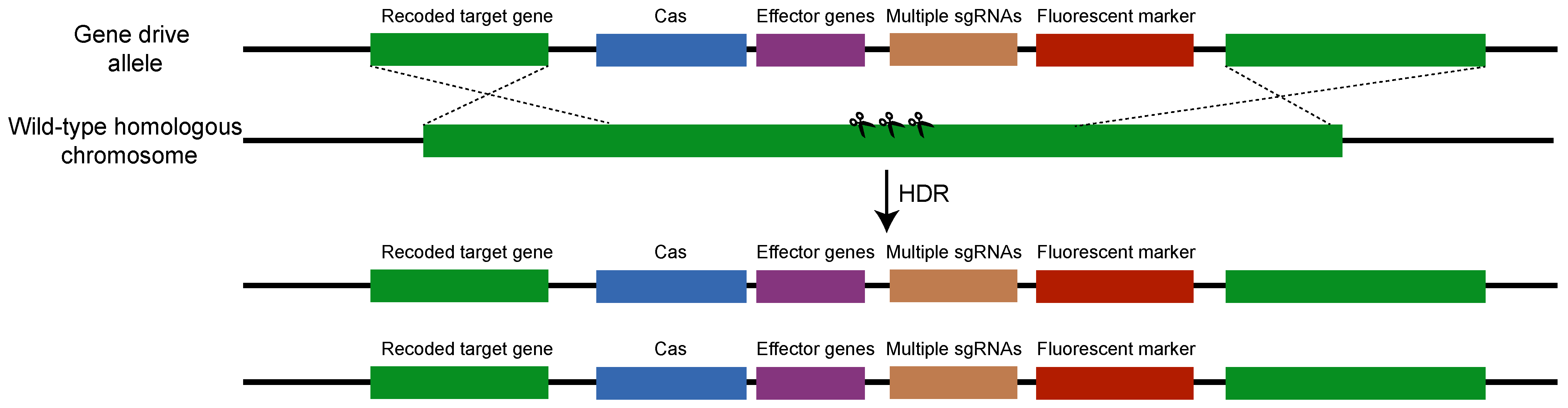 Insects 15 00653 g003